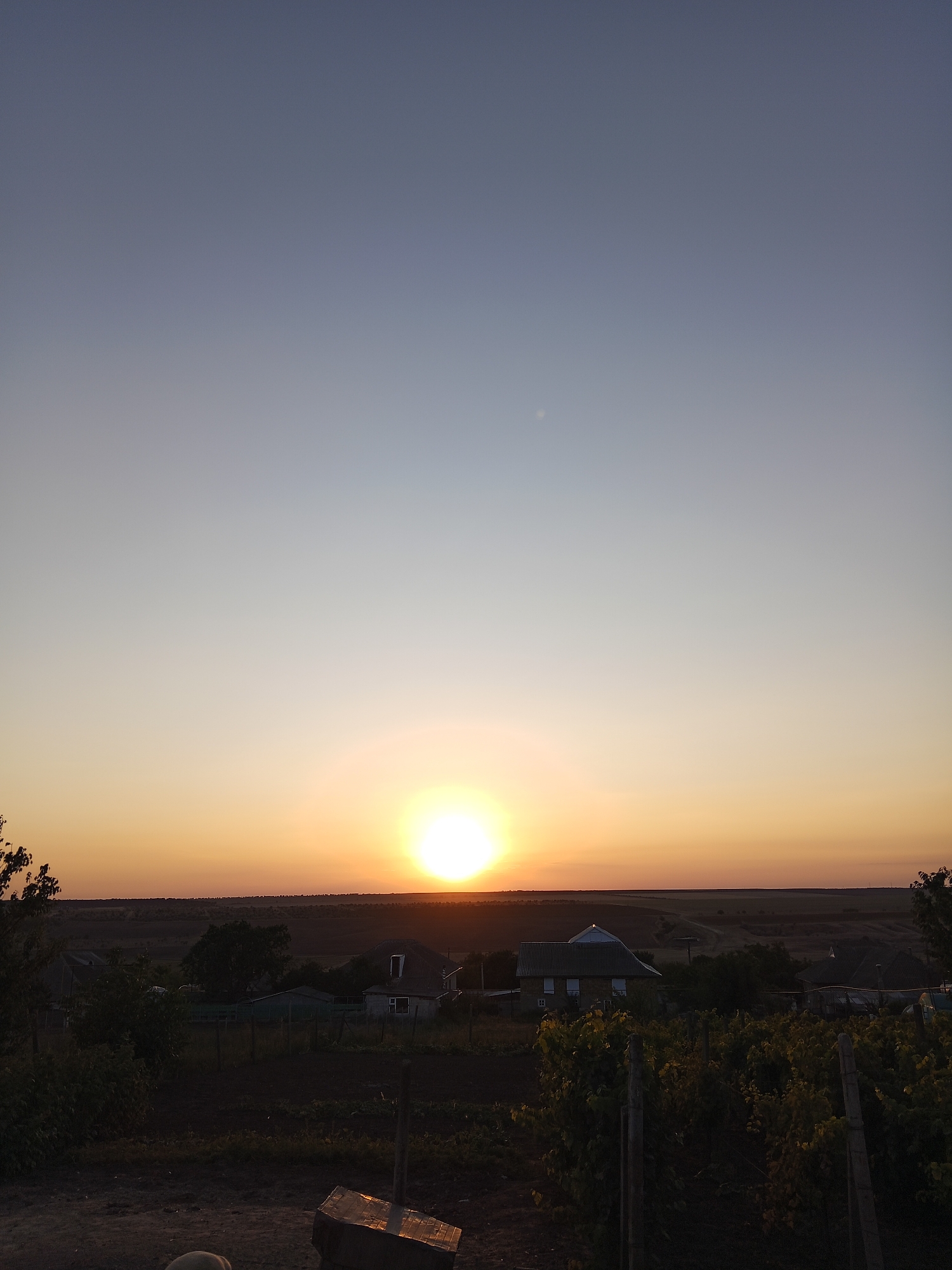 The image depicts a sunset over a rural landscape, likely in Beșghioz, Moldova. The sky transitions from a pale blue at the top to a warm orange glow near the horizon. The sun, a bright, almost blinding orb, is setting on the right side of the frame, casting a soft light across the scene.
In the mid-ground, several houses with dark roofs are visible, scattered among trees and vegetation. Some of these houses appear to be single-story dwellings with visible windows. A vineyard with lush green foliage is prominent in the foreground, with wooden stakes supporting the vines. The ground in the foreground is dark and appears to be tilled soil, with some indistinct objects, possibly agricultural equipment, visible. The overall environment suggests a peaceful, rural setting at the end of the day. There are no people visible in the image.