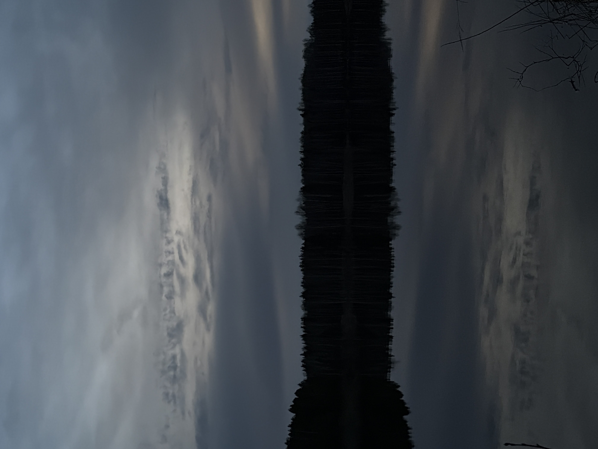 The image displays a serene landscape, depicting a calm body of water perfectly reflecting an overcast sky and a distant treeline. The scene, when viewed horizontally (the image is presented vertically), shows a grey sky with lighter cloud formations occupying the upper portion. A dark, elongated silhouette, likely a dense treeline or distant landmass, runs horizontally across the middle of the frame, separating the sky from its reflection.
The lower half of the image is dominated by the still water, which acts as a clear mirror, showing an inverted reflection of the cloudy sky and the dark land. The perfect clarity of the reflection indicates very calm conditions with no wind. In the top right corner of the reoriented image, several thin, bare branches extend into the frame, suggesting a nearby tree or shrub.
The overall lighting is dim and diffused, indicative of either early morning, late evening, or a heavily overcast day. This contributes to a muted color palette dominated by shades of grey, dark blue, and black. There is no explicit activity or event taking place; the image captures a moment of quiet stillness. No visible text is present. The tranquil nature of the scene suggests a location like a lake or a wide, slow-moving river, possibly in Novyi, Russia.