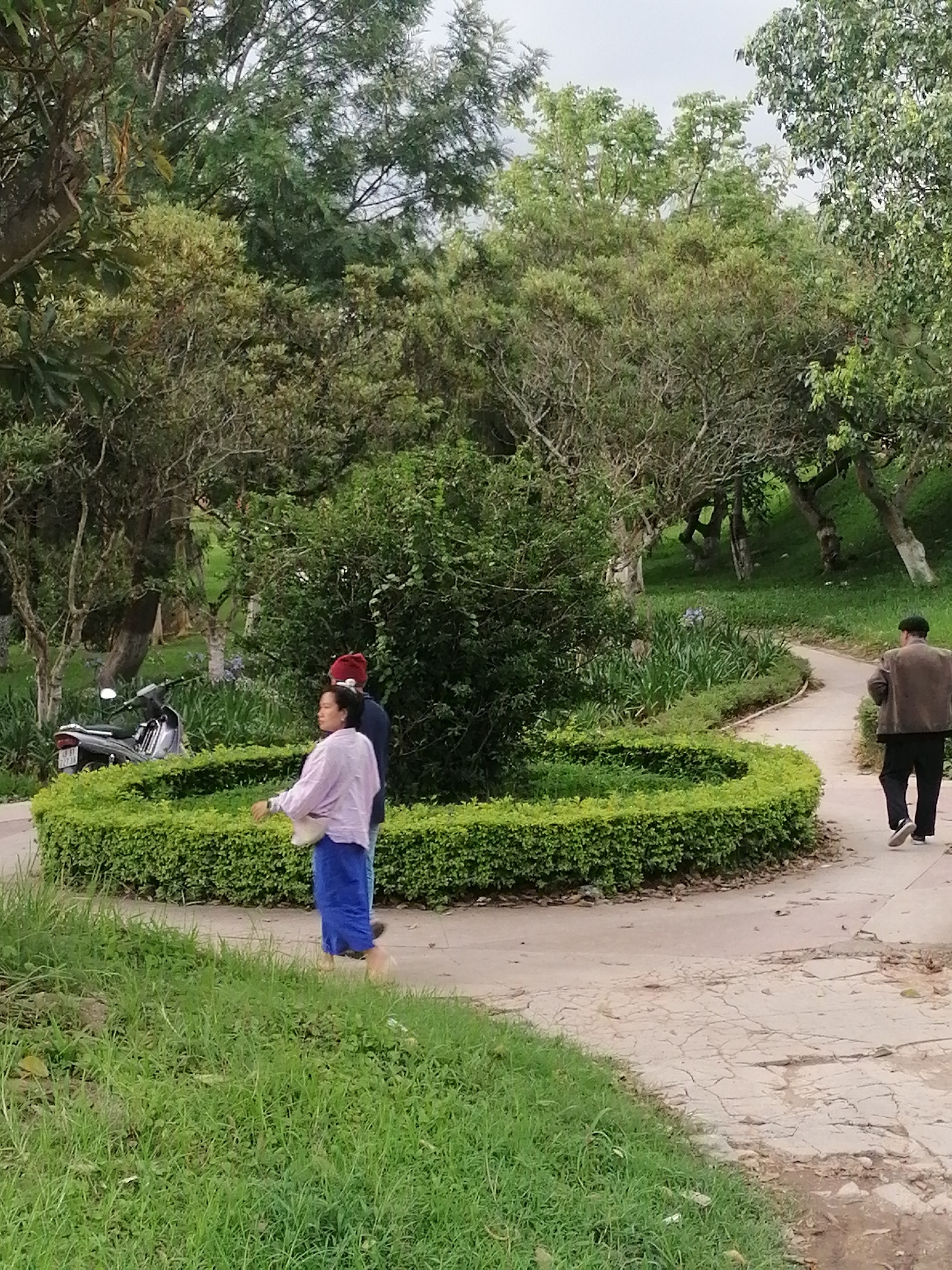 A man and two women are walking on a paved path in a park. The man is wearing a brown jacket and black pants. One woman is wearing a light purple shirt and blue pants, and the other woman is wearing a red hat and dark shirt. A motorcycle is parked on the side of the path. The park is filled with trees and bushes. The path is lined with a manicured hedge. The ground is covered in grass and leaves. The sky is overcast. The image appears to have been taken in the city of Da Lat, Vietnam, known for its parks and botanical gardens.