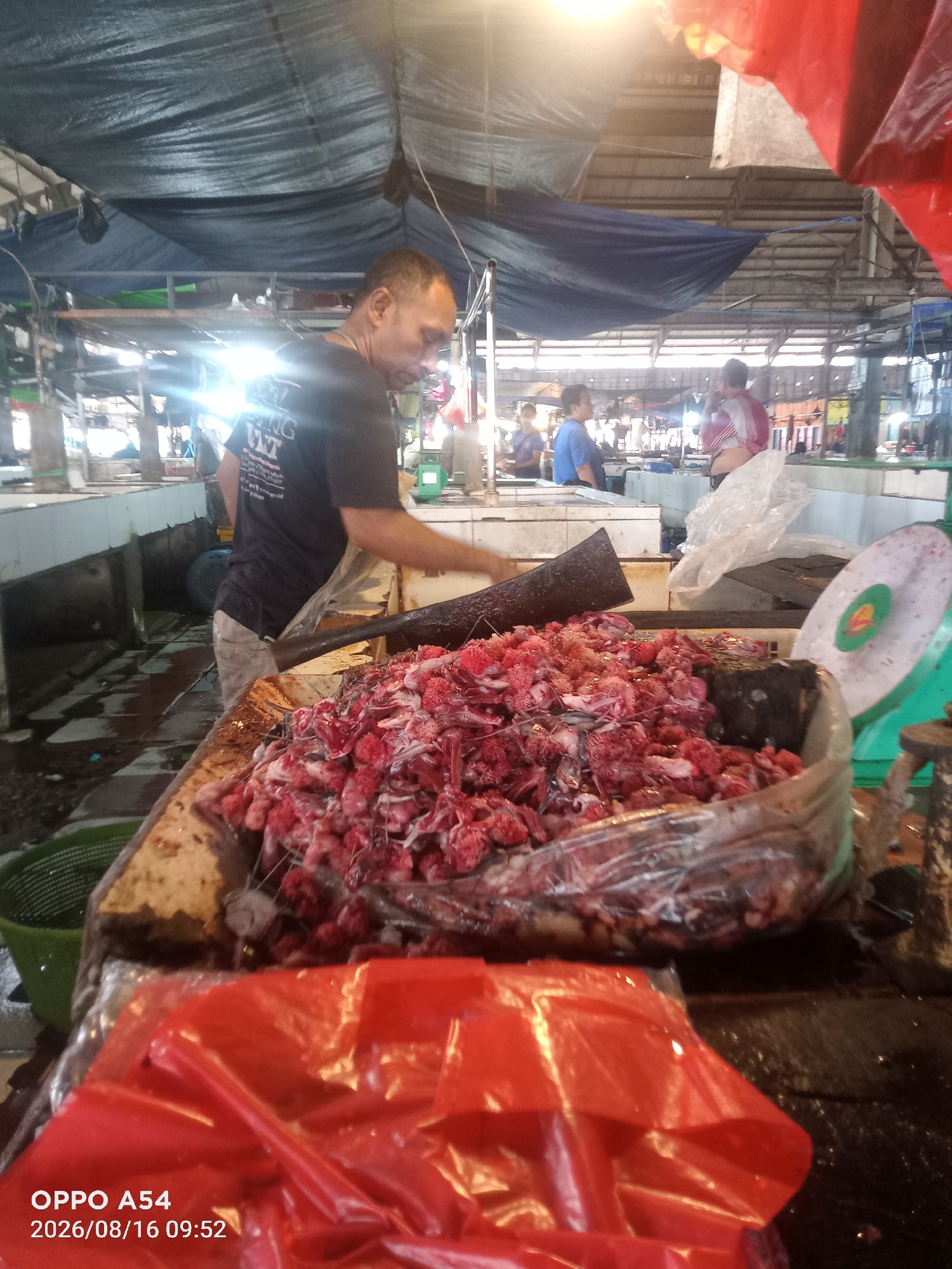 The image depicts a street market scene in Jambi, Indonesia. In the foreground, a man wearing a black t-shirt and light-colored shorts is actively engaged in processing a large quantity of what appears to be raw meat, possibly fish or poultry, which is piled in a clear plastic container. He is using a large, dark-colored tool, possibly a cleaver or a specialized knife, to manipulate the meat. The background reveals the bustling environment of a market with stalls covered by tarps and corrugated metal roofing. Other people can be seen in the distance, some interacting at stalls. Several scales, including a green one on the right, are visible, suggesting the sale of produce or meat. The ground appears wet, indicating a typical market condition. The presence of red plastic bags in the foreground adds to the market atmosphere.