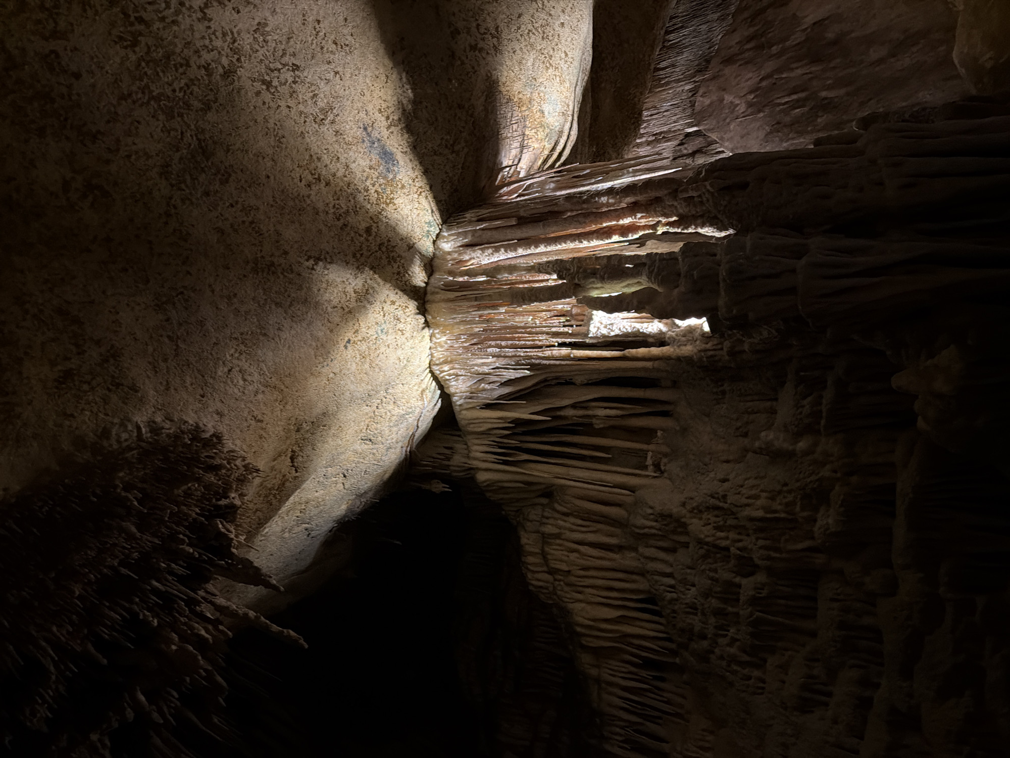 The image depicts an interior view of the Caves of Drach in Manacor, Spain. The scene showcases geological formations, including stalactites and stalagmites, illuminated by artificial lighting. The rock surfaces are textured and layered, exhibiting shades of brown and gray. The composition is vertically oriented, with the formations ascending towards the unseen cave ceiling. A dark, cavernous space is visible at the bottom, contrasting with the illuminated sections. No people are present in the frame.