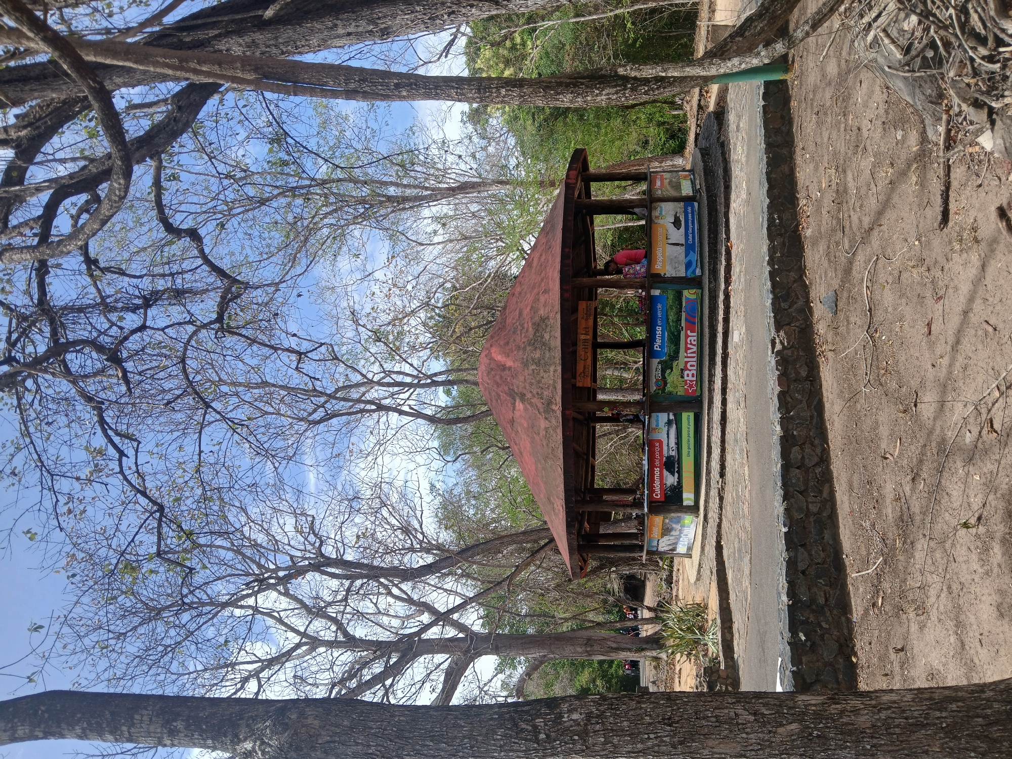 This outdoor image, taken in Ciudad Guayana, Venezuela, depicts a tranquil park scene under a bright, clear blue sky. The main subject is a rustic wooden gazebo or shelter with a reddish-brown roof, situated along a dirt path.
Inside the shelter, a person wearing a red top is visible, appearing to sit or bend down. The structure is adorned with several colorful banners and signs. These signs contain text such as "Camila," "Cuidemos del parque" (Let's take care of the park), "Bolívar," "CARONI," "Piensa en verde" (Think green), "Respeta las normas" (Respect the rules), "Una gestión para el pueblo" (A management for the people), and "Ciudad Guayana para vivir" (Ciudad Guayana to live). These texts reinforce the location and suggest themes of community engagement and environmental care.
The setting is characterized by numerous trees, many of which have bare, gnarled branches and visible roots, suggesting a dry season or a specific type of deciduous tree. Some trees retain sparse green foliage. A dirt path runs in front of the shelter, bordered by a low wall made of stones and concrete. The ground is largely dry earth and scattered fallen leaves. The overall impression is a sunny daytime scene, likely in a public park or recreational area within Ciudad Guayana. No specific activity or event beyond general park use is clearly depicted.