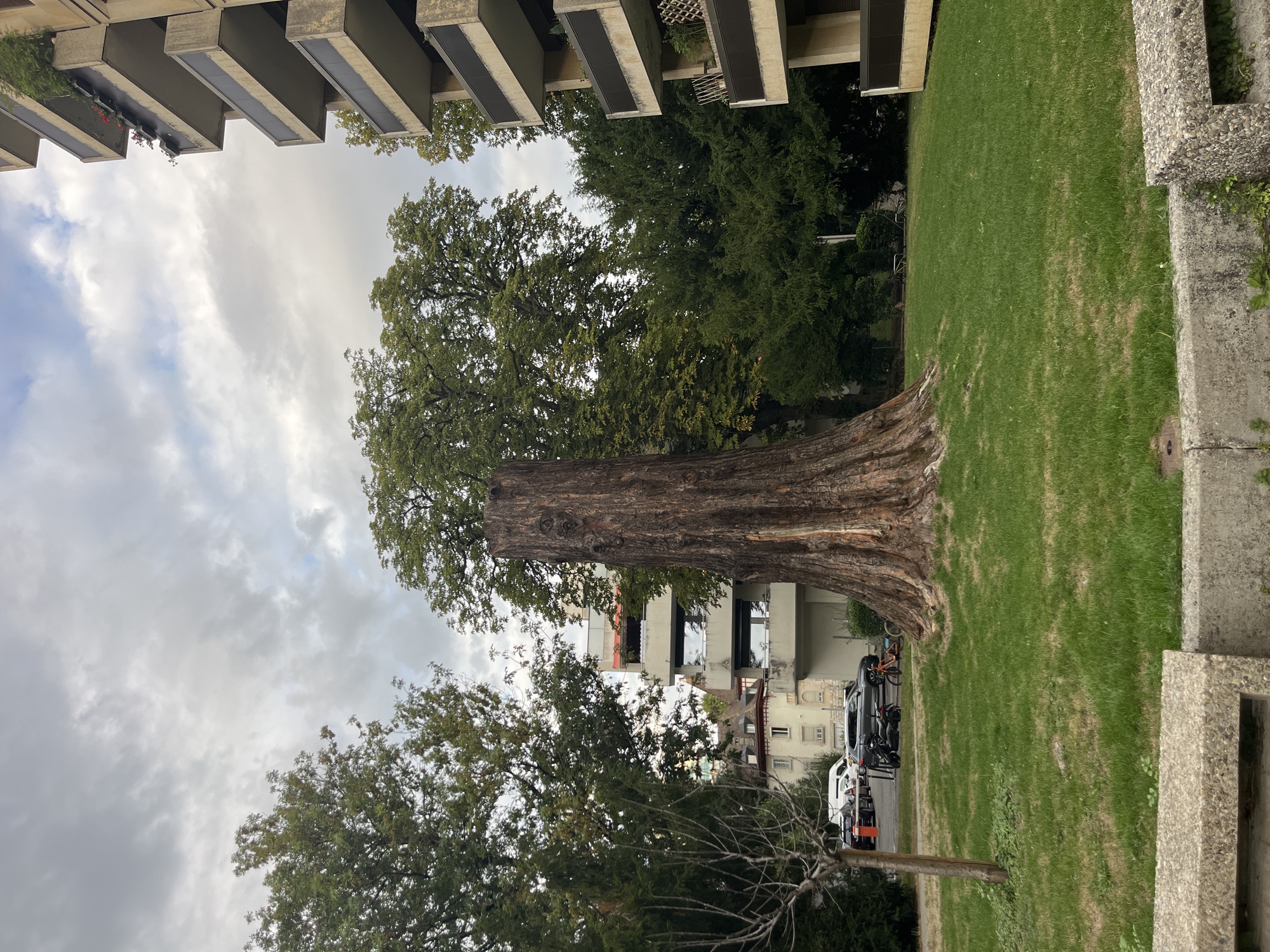 This image depicts a large, thick tree stump in the foreground, situated on a green lawn. In the background, there is a multi-story residential building with balconies and some trees. The sky is overcast. The location is identified as Geneva, Switzerland. There are no people visible in the scene. Several parked vehicles, including a car, a motorcycle, and a bicycle, are visible on a street adjacent to the lawn. The overall impression is an urban setting with a natural element.