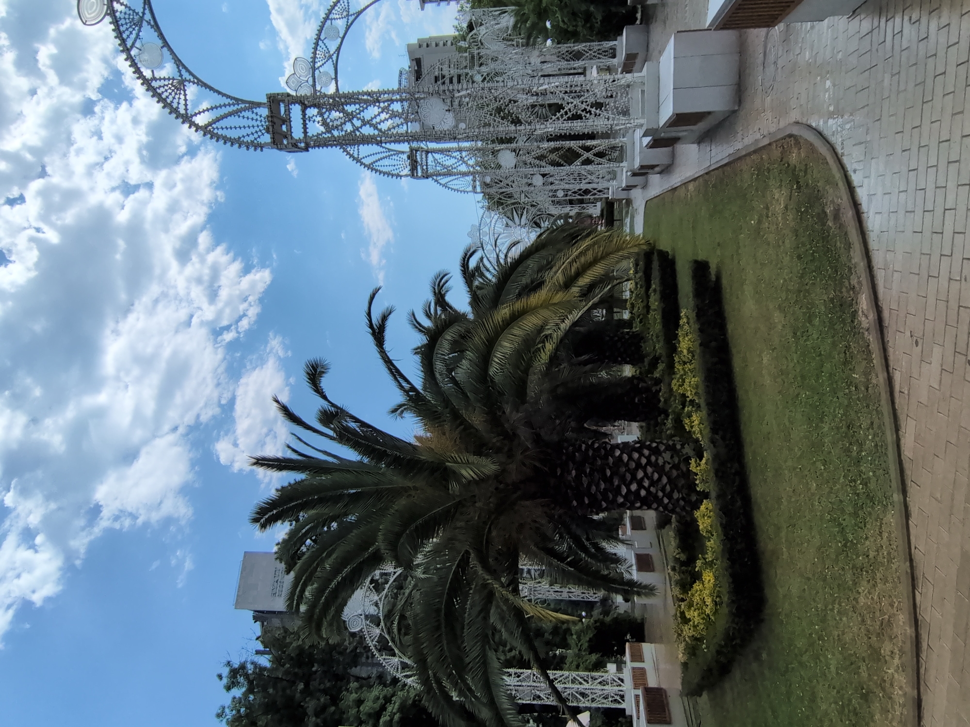 The image depicts an outdoor scene in Sochi, Russia, likely in a public park or promenade. In the foreground, a meticulously manicured lawn is bordered by a low, manicured hedge and a small bed of yellow flowers. To the left, the prominent trunk and fronds of a large palm tree dominate the view. Behind the palm tree, a building with the name "HYATT REGENCY" is visible, indicating a hotel. To the right, a series of tall, ornate white archways, decorated with intricate metalwork and circular motifs, stretch into the background, suggesting a festive or decorative installation. The ground in the foreground is paved with brickwork. The sky above is blue with scattered white clouds. The overall impression is one of a well-maintained urban landscape, possibly a tourist area.