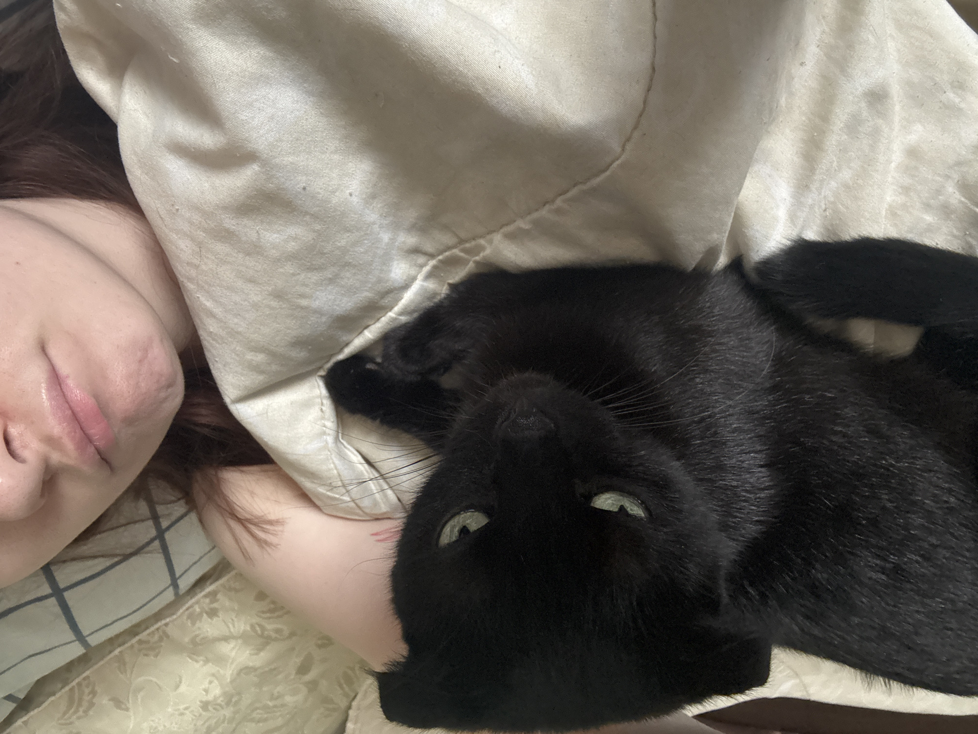 The image shows a close-up view of a person and a black cat lying down together, likely in a bedroom. The person, whose face is partially visible, appears to be relaxed and possibly sleeping or resting. Their head is turned away from the camera, with their lips and cheek in focus. The cat is nestled beside the person, with its face turned towards the camera. The cat's eyes are open and appear light green or yellow. The setting seems to be indoors, possibly on a bed, indicated by the presence of bedding that includes a light-colored duvet or comforter with a subtle pattern and a striped pillowcase. The lighting suggests it could be daytime, but the exact time of day is not clear. The overall mood of the image is intimate and peaceful, conveying a sense of comfort and companionship between the person and the cat. There is no visible text in the image. The location context provided is Opochka, Russia, which may refer to the general geographical area where the photo was taken.