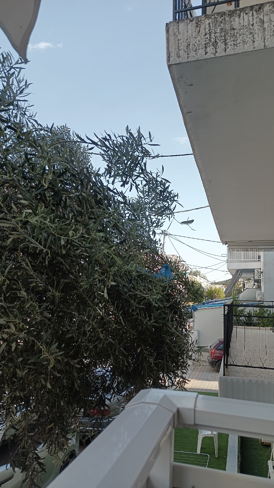 This media file captures a view from a balcony overlooking an outdoor scene on a bright, sunny day. The primary subjects are a large, leafy olive tree dominating the left side of the frame, and a portion of a building's exterior on the right. The tree's branches are dense with dark green leaves, obscuring much of the background behind it. A small patch of bright blue material is visible amidst the foliage.
The building on the right features a concrete balcony with a decorative textured edge and a metal railing. Below the balcony, the scene opens up to reveal a courtyard or paved area. In the background, there are other buildings, including a white structure that appears to be a modular unit, and a red car parked in the paved area. Power lines crisscross the sky above the buildings, suggesting an urban or semi-urban environment. A white plastic chair is visible on a patch of artificial grass in the lower right portion of the image, hinting at outdoor seating.
The clear blue sky and the bright lighting suggest it is daytime, likely mid-morning or afternoon. The weather appears to be fair and sunny. The location cues, such as the Mediterranean foliage of the olive tree and the architectural style of the buildings, along with the provided location context of Nea Peramos, Greece, indicate a Mediterranean setting. No people are visible in the frame, and there is no discernible text. The overall mood is calm and serene, capturing a snapshot of everyday life in a warm climate.