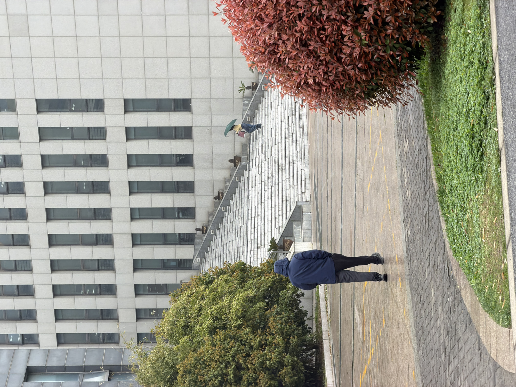 A pedestrian, clad in a blue hooded jacket and black pants, is walking along a paved pathway adjacent to a grass-covered area. Next to the grass is a red leafy bush. The pathway's surface texture is distinct, marked by yellow stains. In the background, a large, multi-story building with a grid of windows is visible. A staircase can be seen near the building. Another person is walking up the stairs, holding an umbrella. The location is likely in the Jiangning District, China.
