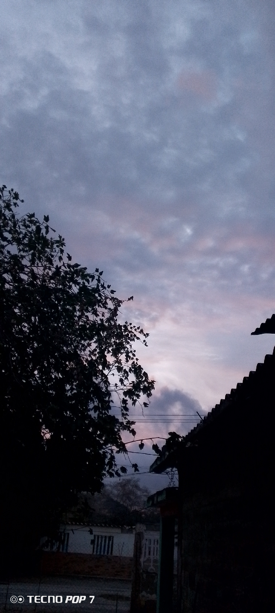 The image captures a twilight or dawn scene in Altagracia, Venezuela, dominated by a cloudy sky above an urban or semi-urban landscape. The sky, occupying the upper two-thirds of the frame, features scattered clouds exhibiting a color palette of grey-blue, slate, and soft pinkish-purple hues, indicative of low light conditions. The lower third of the image is heavily silhouetted. On the left, a large, dense tree or shrub with distinct leaves forms a dark silhouette against the lighter sky. On the right, the sharply defined, corrugated or tiled roofline of a building is visible. Faint utility lines are discernible stretching horizontally between the tree and the building. Below these prominent silhouettes, the obscured outlines of additional structures, including a lighter-colored building with dark rectangular features (possibly windows or doors) and a fence, are dimly visible in the very dark foreground. No people or discernible actions are present. A "TECNOS POP 7" watermark is located in the bottom left corner.