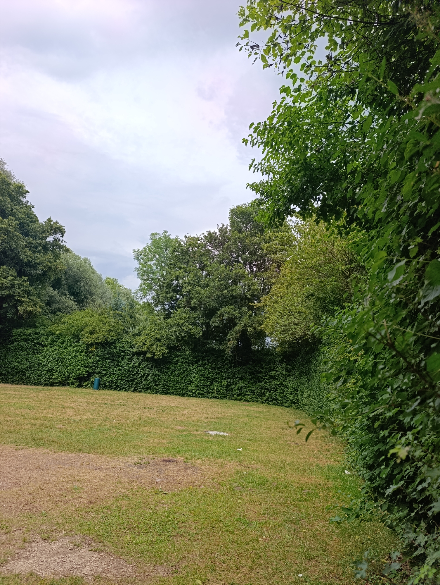 A medium shot shows a park-like area with a patch of dry grass in the foreground. To the left, a light-colored path transitions into the dry grass, which is interspersed with greener patches. A lone, dark green cylindrical object, possibly a trash can, stands on the edge of the grass field. Behind the field is a dense, dark green hedge that stretches across the frame. Beyond the hedge, a variety of trees with lush green foliage are visible, with some lighter green foliage intermingled. The sky above is overcast with a light grey hue, suggesting cloudy weather. The scene appears to be located in a suburban or rural setting in Neckartenzlingen, Germany, given the natural elements present. There are no people or animals visible in the image.