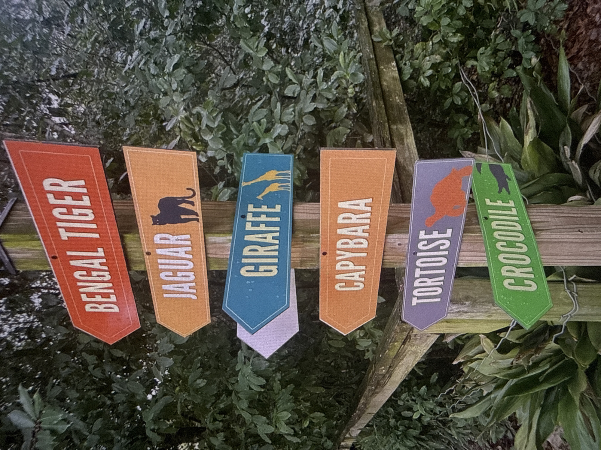 The image displays an outdoor scene featuring six colorful, bookmark-shaped signs attached to a rustic wooden fence, set against a lush backdrop of green foliage. This setting suggests a zoo, wildlife park, or nature trail, located in Varna, Bulgaria.
The signs are arranged horizontally along the fence, slightly angled from left to right. Each sign is vertically oriented, displaying the name of an animal in white, bold capital letters, and a dark silhouette of the respective animal.
From left to right, the signs are:
1. A red-orange sign with "BENGAL TIGER" and a tiger silhouette.
2. An orange sign with "JAGUAR" and a jaguar silhouette.
3. A blue sign with "GIRAFFE" and two giraffe silhouettes; this sign has a distinct layered or folded appearance at its pointed bottom.
4. A light orange-brown sign with "CAPYBARA" and a capybara silhouette.
5. A purple sign with "TORTOISE" and a tortoise silhouette.
6. A vibrant green sign with "CROCODILE" and a crocodile silhouette.
The signs are secured to the top wooden plank of the fence, with visible wires attaching some of them. The background is dominated by dense green leaves and branches, indicating a rich natural environment. The lighting appears diffused, suggesting daytime, possibly under an overcast sky, with no harsh shadows. The overall impression is that of an educational or informational display for visitors exploring a natural habitat.