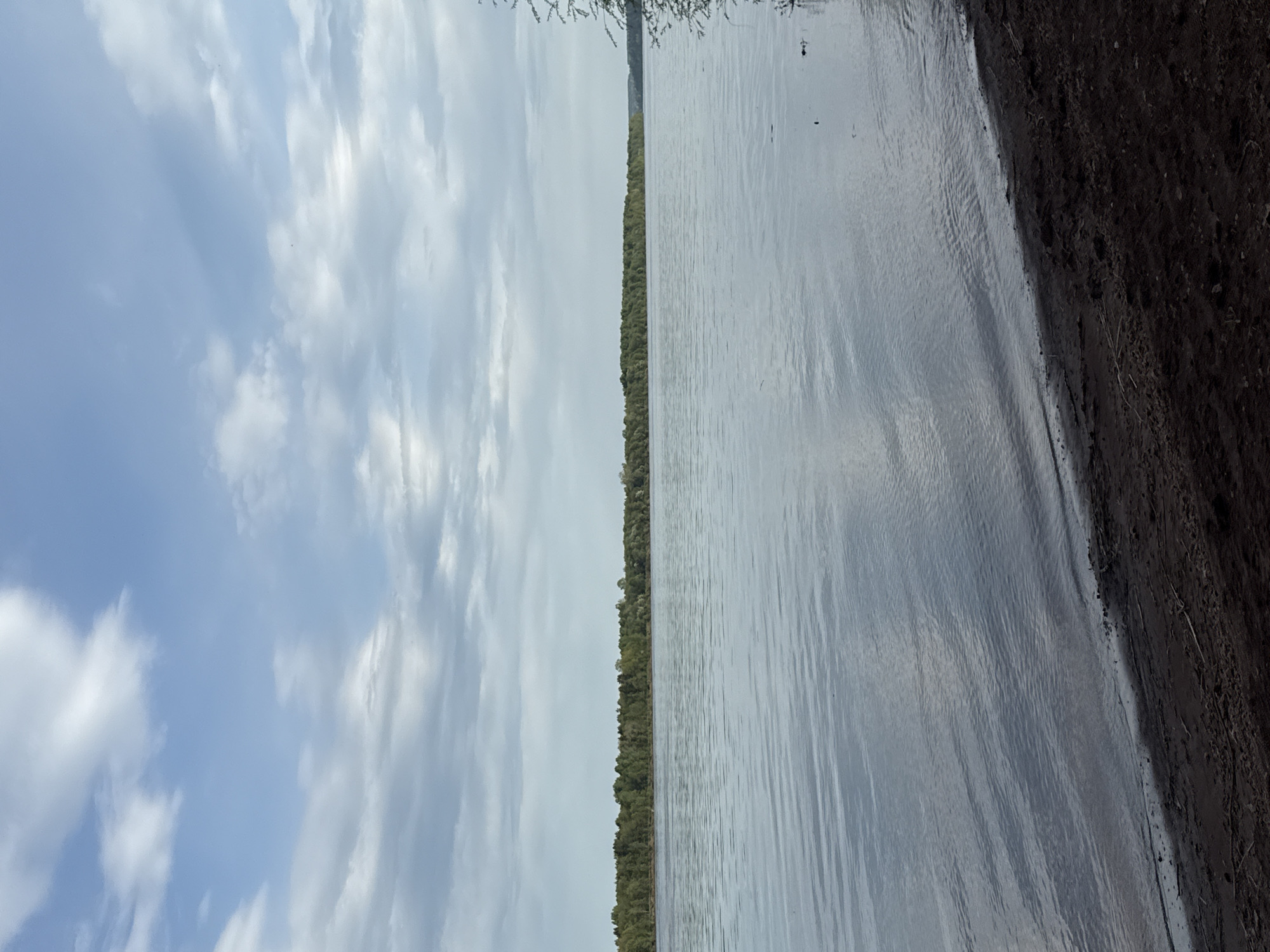 The image depicts a body of water, likely a river or lake, in what appears to be a natural setting. The left side of the image shows a blue sky with scattered white clouds. A narrow strip of trees lines the center of the image, separating the sky from the water. The water surface reflects the sky, creating a mirrored effect. The right side of the image shows the edge of the water meeting the shoreline, which consists of dark soil or mud. The photograph is taken from an angle that is rotated clockwise. The presence of trees and the body of water suggest a location outside of a densely populated urban area, possibly the Doksha area of Russia. No people or actions are visible in the image.