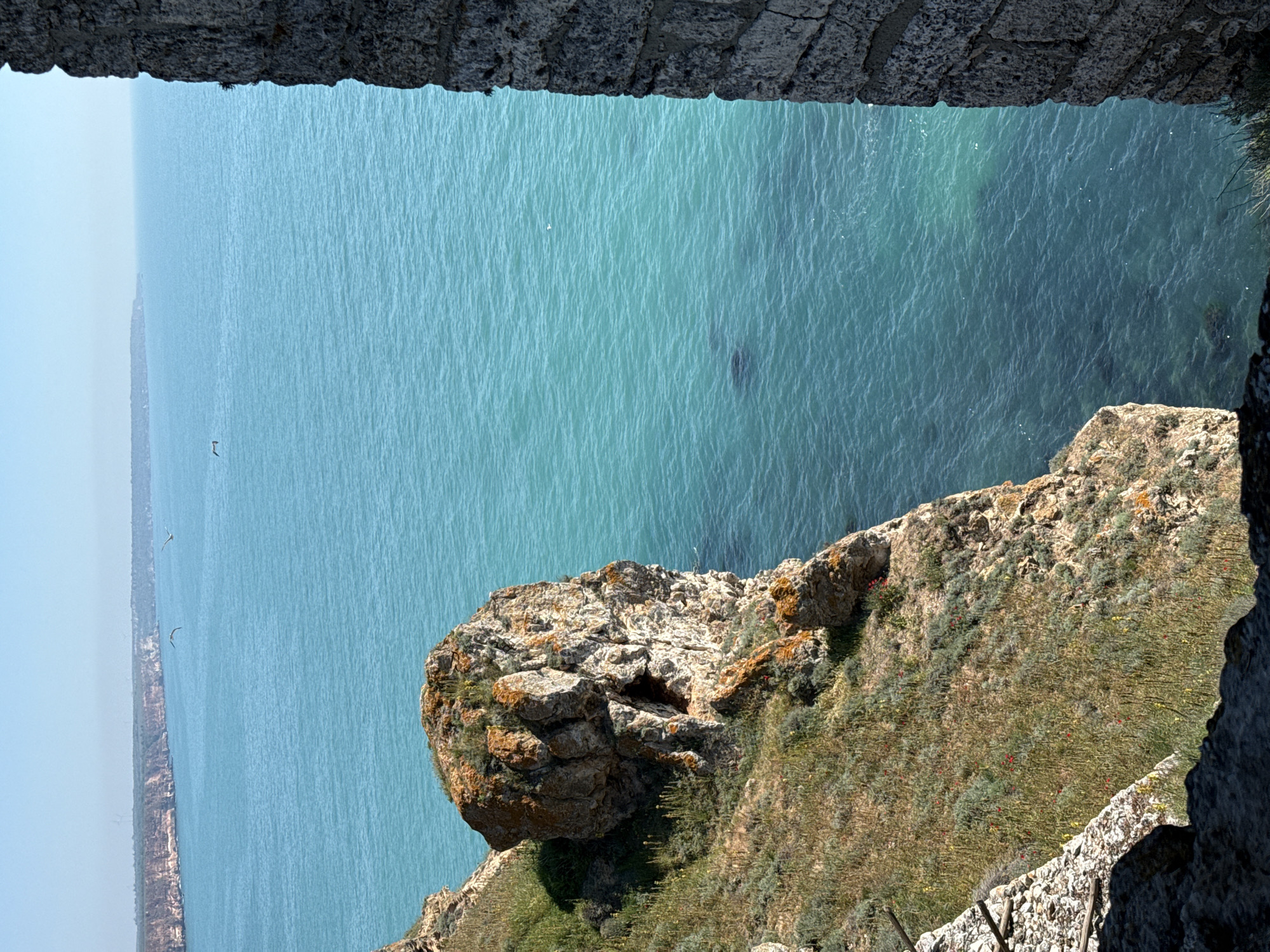 This is an outdoor shot of a rocky cliffside overlooking a body of turquoise water, likely the Black Sea. The vantage point is from within a stone structure, possibly a fortress or castle ruins, framing the scene.
The cliff face is covered with vegetation, including grass, scrub, and wildflowers. A distinct rock formation protrudes from the cliff, displaying a mix of grey and orange tones.
In the background, across the water, a distant coastline is visible. Two birds are seen flying over the water, adding a sense of scale and movement. The water itself has subtle wave patterns and variations in color.
Given the city of Balgarevo, Bulgaria as the location, this scene likely depicts the cliffs along the Black Sea coast near the Kaliakra Fortress.