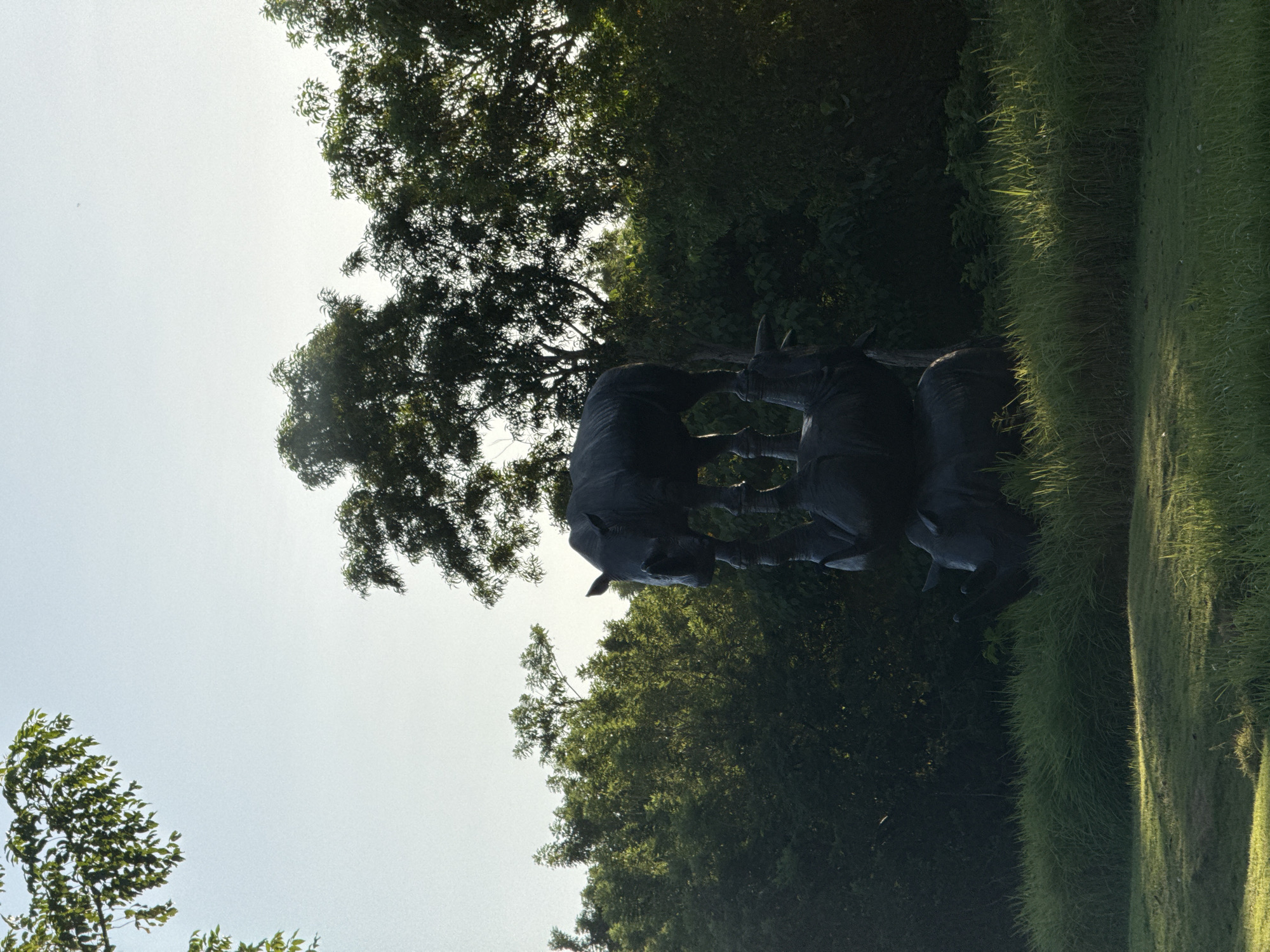 In Kuta Selatan, Indonesia, the scene captures a dark-toned sculpture of three animals, seemingly in the likeness of rhinoceroses, situated amidst lush greenery. Overhead, trees with dense foliage frame the sculpture against a bright sky, suggesting an outdoor setting. The presence of grass indicates the artwork is located in a park or garden-like area.