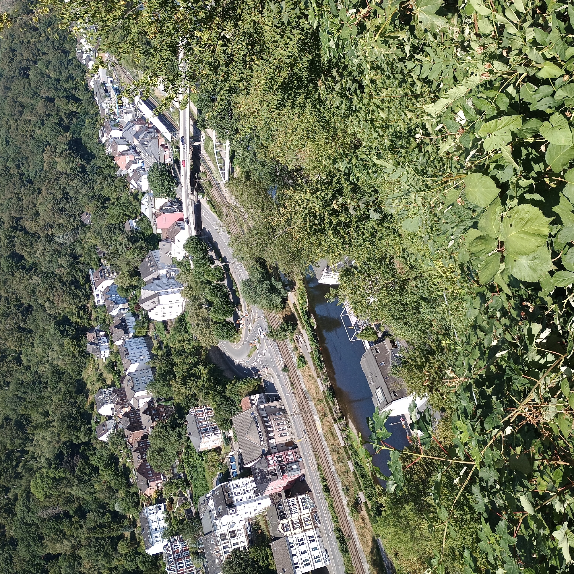 This is an aerial, high-angle, wide shot of the city of Altena, Germany, focusing on the Lenne river valley. In the foreground, dense green foliage of trees and plants obscures the view, with some branches and leaves extending into the frame. Below the foliage, the Lenne river flows, a dark blue ribbon through the landscape. On the banks of the river, a train track runs parallel, with a train station visible. Several buildings, typical of European architecture with pitched roofs, are clustered along the river and on the hillside. Roads and bridges span across the scene, with cars visible on them. The background is dominated by a steep, densely wooded hillside that rises sharply behind the town. The overall scene depicts a town nestled within a natural, mountainous environment, with infrastructure like roads and railways integrated into the landscape.