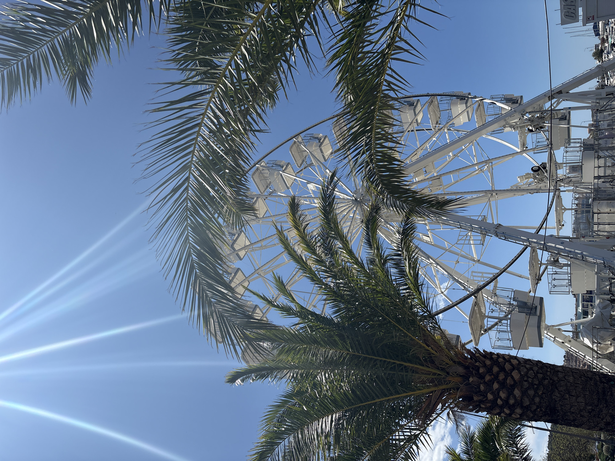 A white Ferris wheel is framed by palm fronds against a clear blue sky with sunbeams. The Ferris wheel has several white gondolas visible. In the foreground, a large palm tree trunk and fronds dominate the left side of the image. Below the Ferris wheel, the tops of buildings and boats docked in a harbor are visible. The scene appears to be a waterfront amusement area, likely in the city of Bar, Montenegro, given the presence of palm trees and proximity to a harbor. There are no people or active interactions depicted in the image.