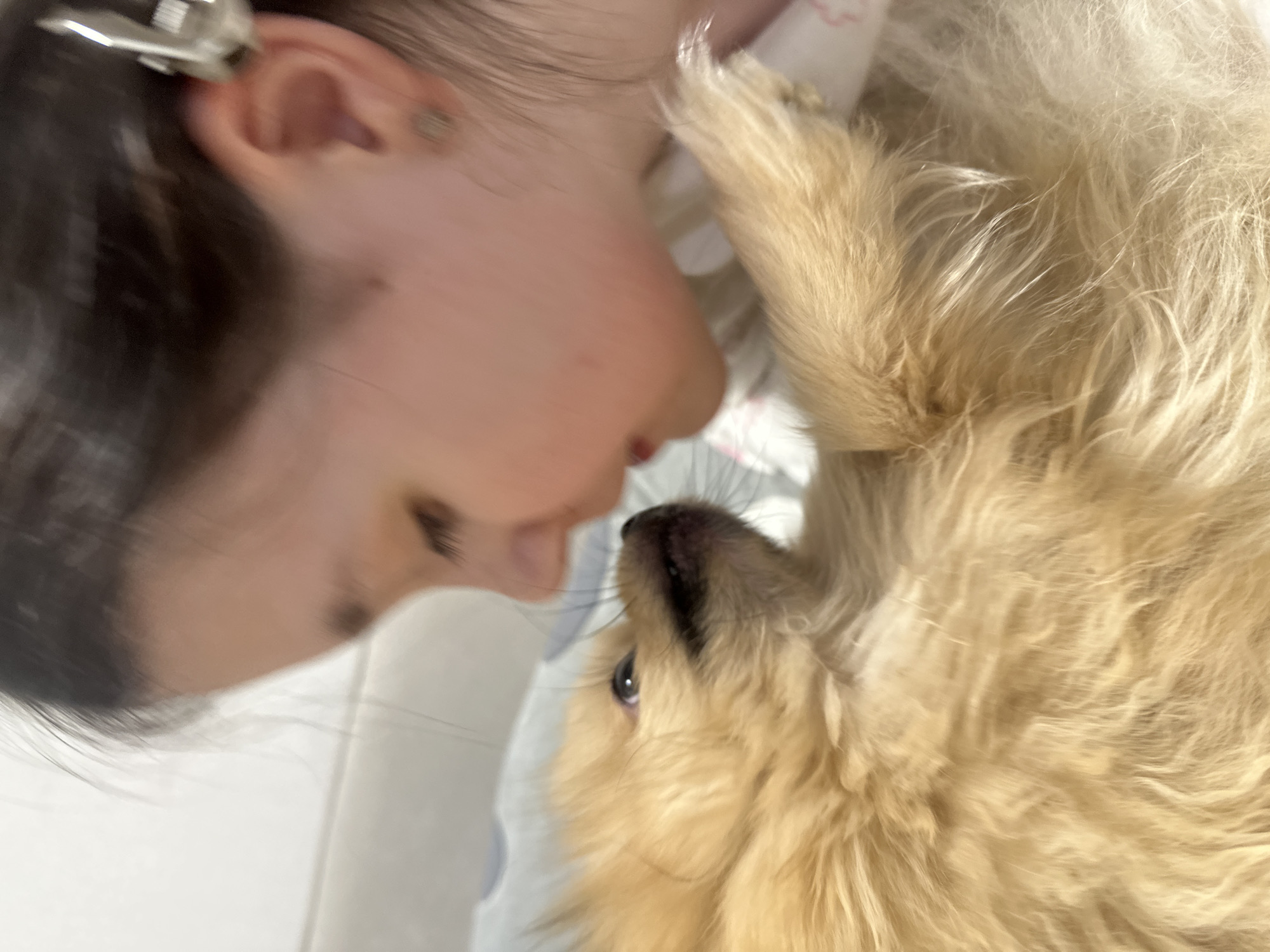 A close-up shot shows a person and a tan, fluffy dog lying face-to-face. The person's face is in profile, with dark hair pulled back by a silver clip. The dog's face is upturned, its nose close to the person's face. The background appears to be bedding or a soft surface. The location is unknown. The image shows an interaction between a person and a dog.