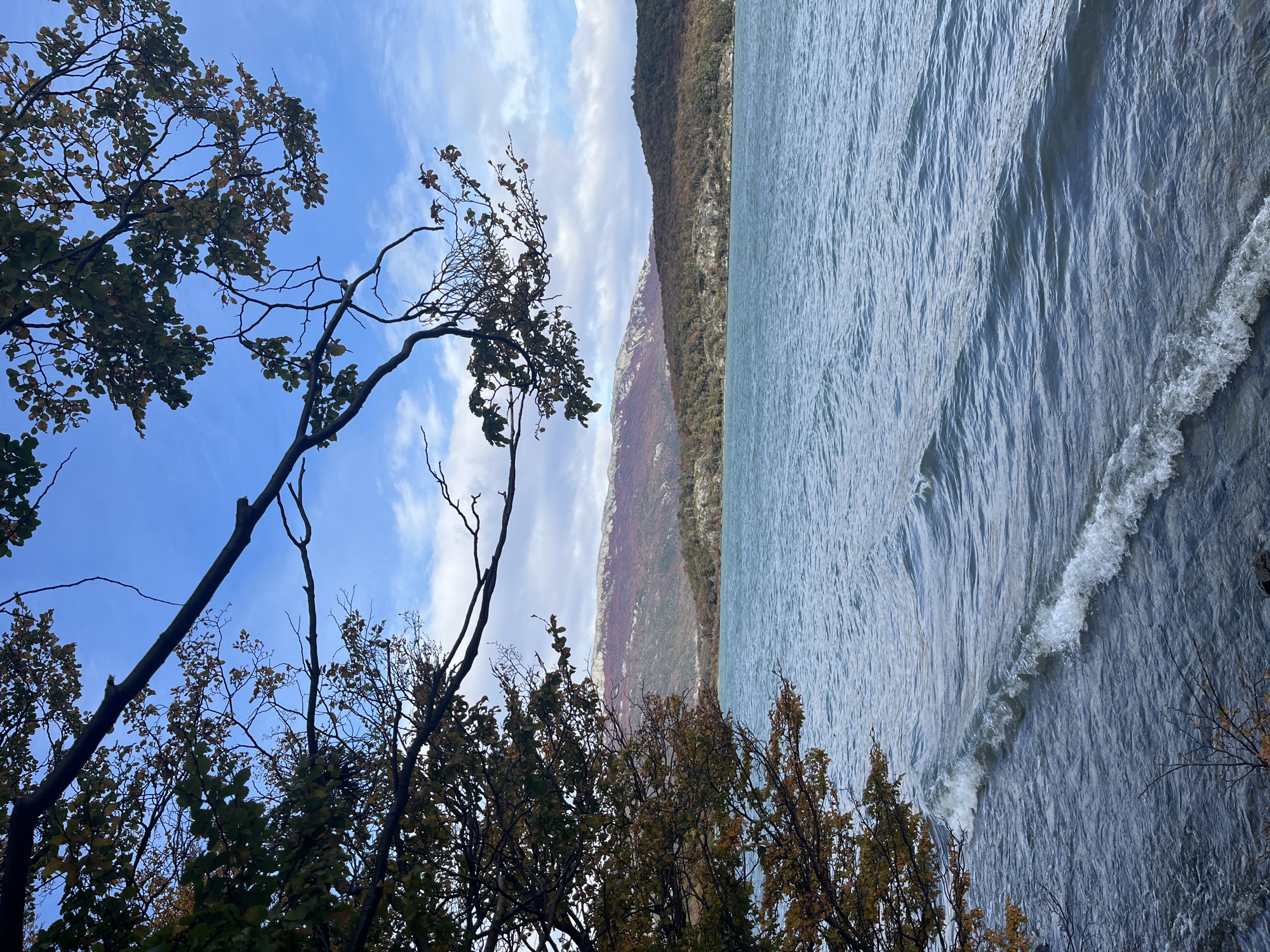 The image shows a landscape in Lapataia, Argentina. The scene is vertically oriented. The left side of the image displays trees with sparse leaves against a cloudy blue sky. The right side features a body of water, possibly a lake, with visible waves. A mountain range runs along the middle of the image, separating the trees from the water. The trees are predominantly in the foreground, while the water and mountains extend into the background. The lighting suggests it is daytime.