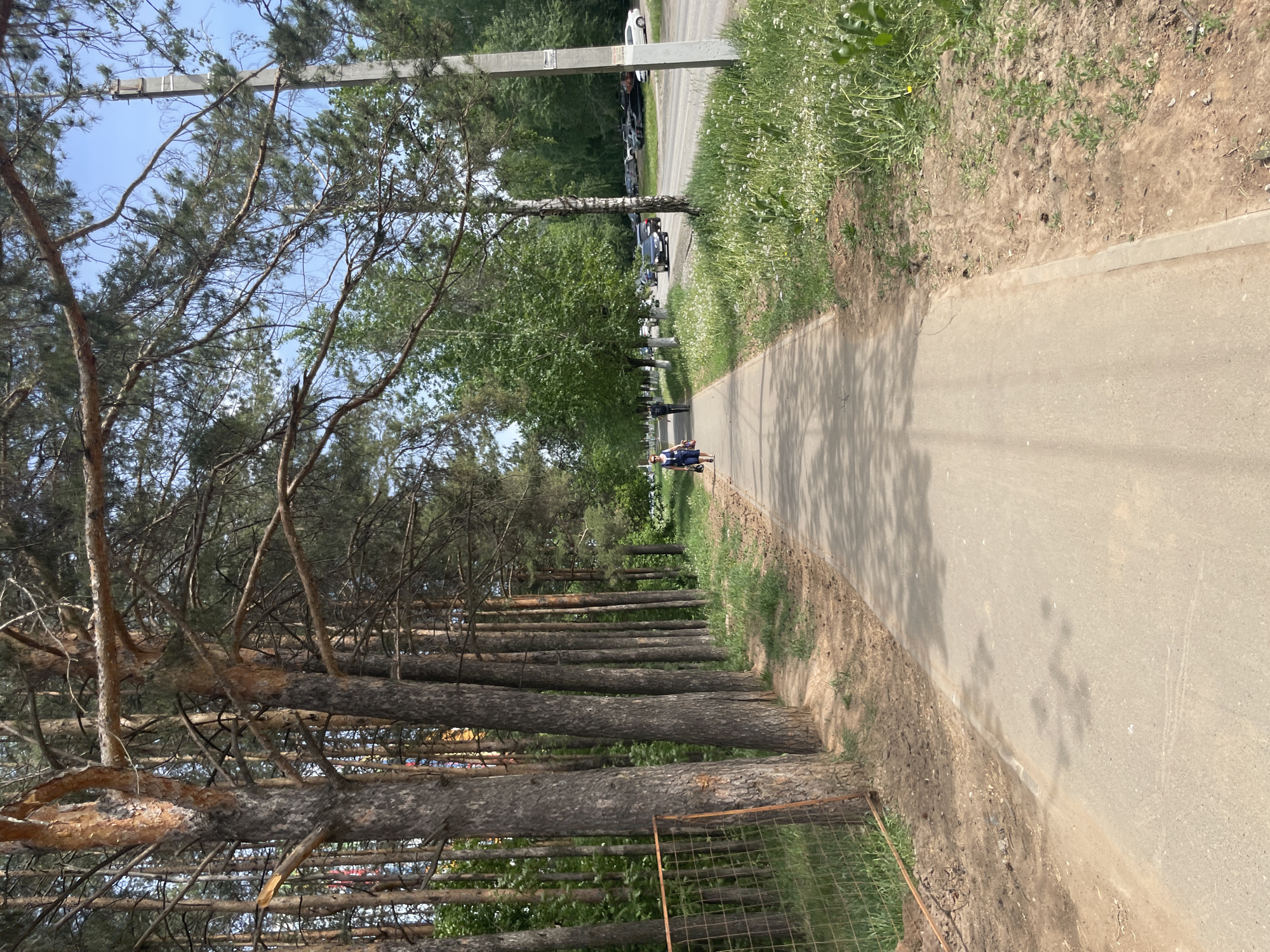 A narrow, paved path cuts through a park or green space, casting shadows from trees onto the surface. The path extends into the distance where two individuals are visible, one possibly on a mobility scooter or wheelchair. A row of trees lines the left side of the path, with a wire fence running along the base of the trees. On the right side, the path is bordered by grass and vegetation, transitioning into dirt and soil. A road with parked cars is visible parallel to the path on the right. The image is taken in Izhevsk, Russia.