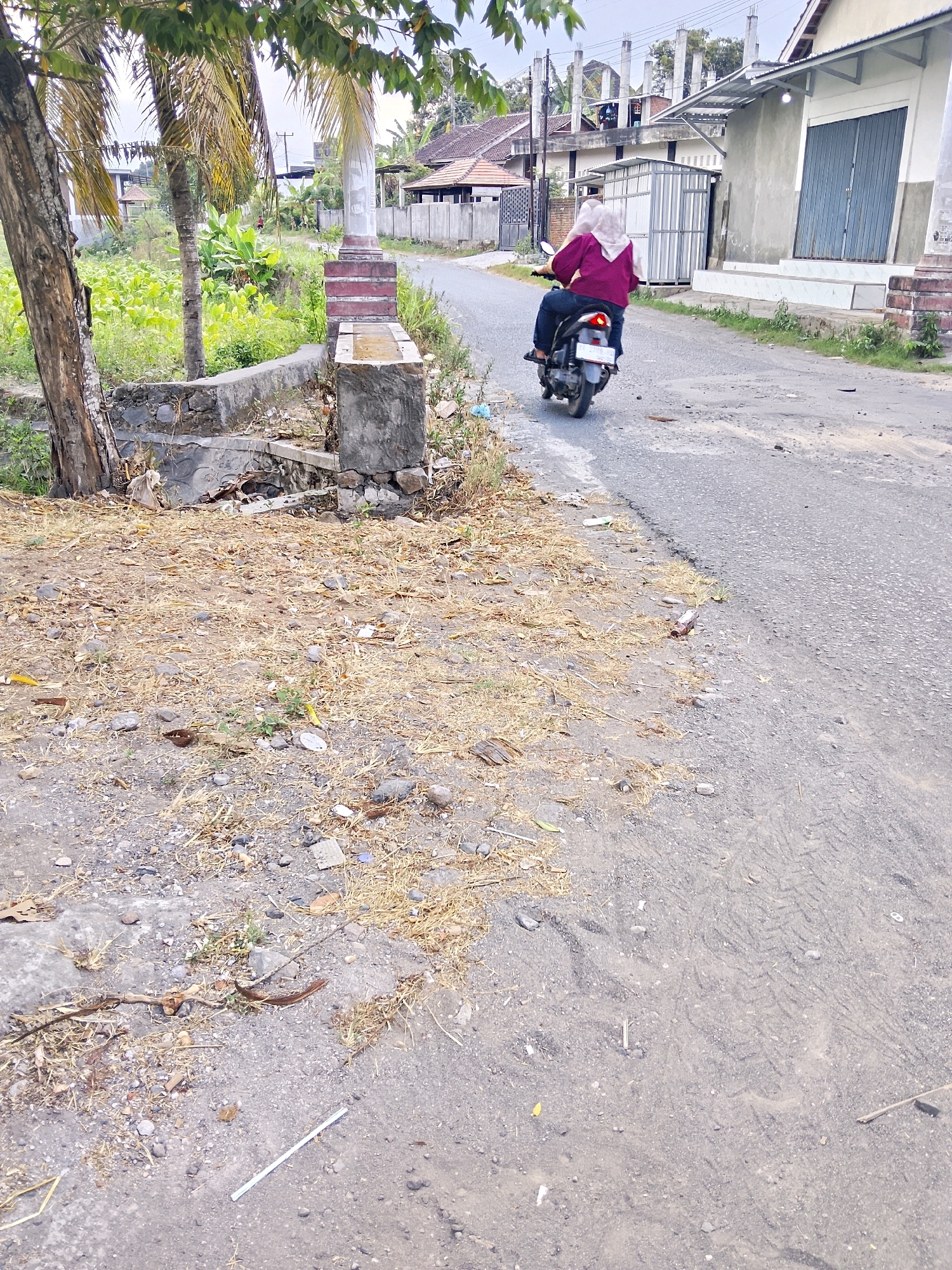 A person rides a scooter down a paved road with dry grass and debris on the side. The person is wearing a maroon jacket and a light-colored headscarf. The scooter is black and has a license plate with the characters "PS 3199". Buildings are visible in the background, with one having a gray exterior and a large blue door. The sky is overcast. The image appears to have been taken during the daytime.