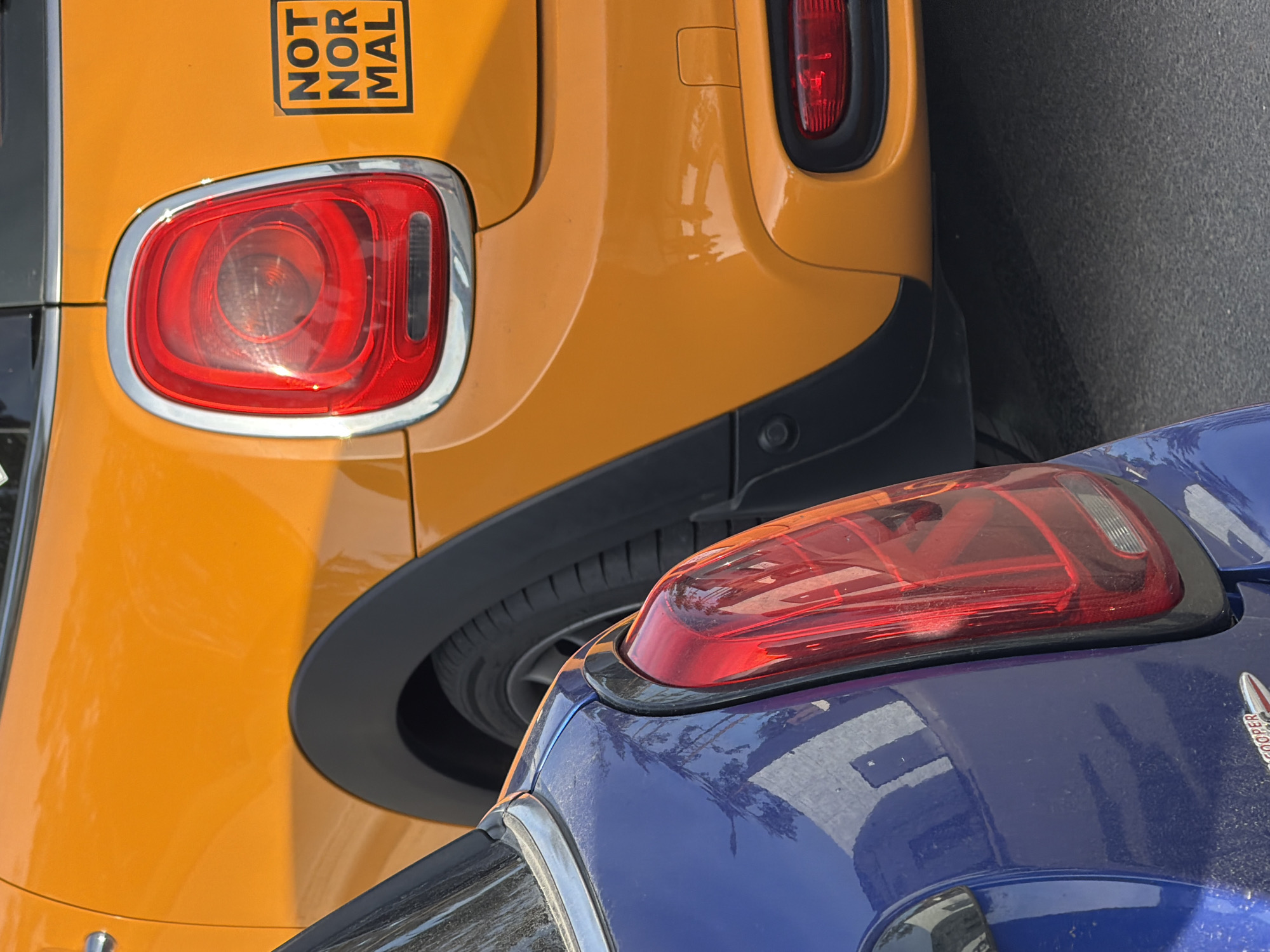 The image displays a close-up, oblique view of the rear sections of two cars parked bumper-to-bumper, likely on a street or in a parking area in Luga, Russia, during daytime. The scene is brightly lit by the sun, causing reflections on the vehicles' glossy surfaces.
The car on the left, partially in the background, is a vibrant yellow. Its distinctive red rectangular taillight, framed by a chrome trim, is prominent. Below the taillight, a black plastic rear bumper or fender flare and a portion of a tire are visible. On the upper rear panel of the yellow car, there is a black rectangular sticker with white text arranged vertically, which clearly reads "NOT NORMAL".
In the immediate foreground, partially overlapping the yellow car, is a blue car. Its metallic blue paint reflects light and shows distorted reflections of what appear to be trees or buildings. This car also features a red taillight with a black trim. A small part of a car badge on its trunk is visible, with the word "COOPER" partially legible, suggesting it might be a Mini Cooper. No people are visible, and the cars are stationary.