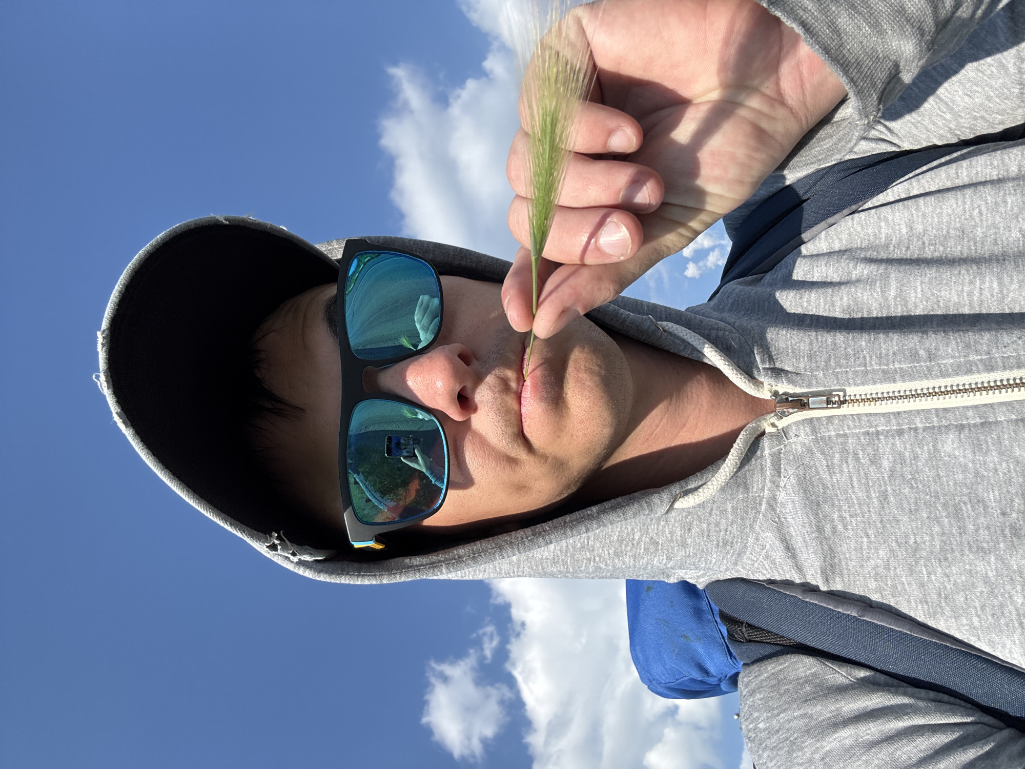 A person is wearing a grey hoodie and sunglasses, holding a piece of grass near their mouth. They appear to be outside on a sunny day with a blue sky and clouds. The person has a backpack on. The image is a selfie, with the camera reflected in the sunglasses showing the person taking the photo. This image does not contain any information that can be used to determine the location in the city of Kopeysk, Russia.