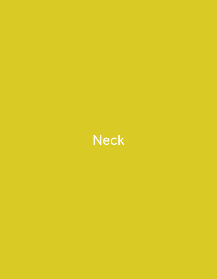 This media file features a plain, yellow background with the word "Neck" written in white, sans-serif font in the center. There are no discernible subjects, activities, or events taking place. The image lacks any notable details regarding time of day, weather, location cues, or emotions. The only visible element is the text "Neck."