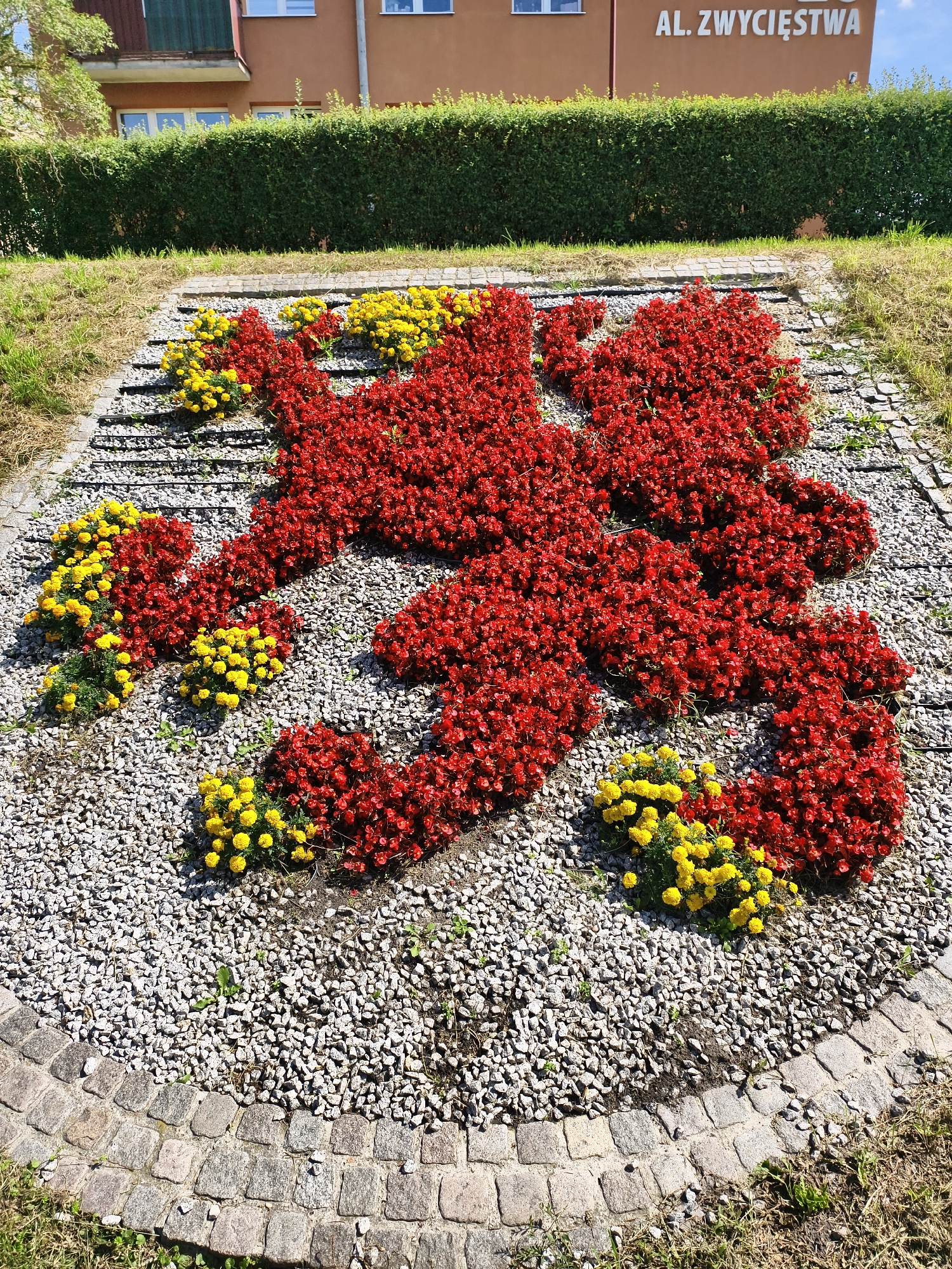 The image shows a flower bed arranged in the shape of a lion, a symbol of Tczew, Poland. The lion is formed by red flowers, with yellow flowers used as accents. The flower bed is located on a slope with a stone border and is surrounded by gravel and grass. In the background, a building with the text "AL. ZWYCIĘSTWA" is visible, along with a neatly trimmed hedge. The scene is illuminated by natural sunlight, casting shadows on the ground. There are no people visible in the image.