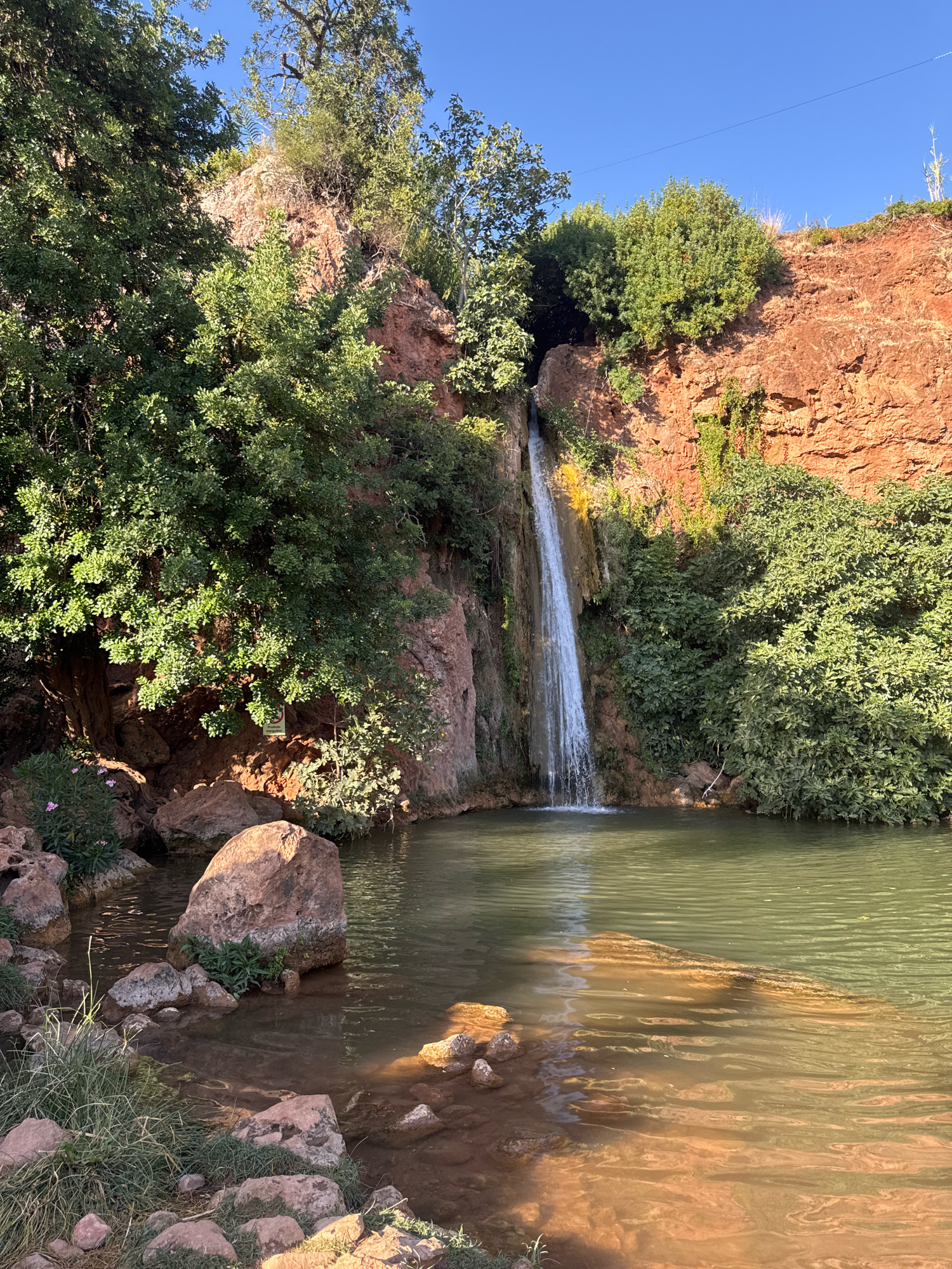 The image depicts a natural scene of a waterfall cascading into a calm pool of water. The waterfall is tall and slender, with water flowing down a reddish-brown rocky cliff face. Lush green vegetation surrounds the waterfall and the pool, with trees and bushes growing on the cliff and along the water's edge. The water in the pool is a murky green, reflecting the surrounding foliage and the reddish tones of the rocks. Several large rocks are present in and around the water, some partially submerged. The sky above is clear and blue, indicating a sunny day. The scene is likely from the area around the waterfall in the municipality of Loulé, Portugal, known for its natural beauty and scenic landscapes. There are no people or discernible human activity in the image.
