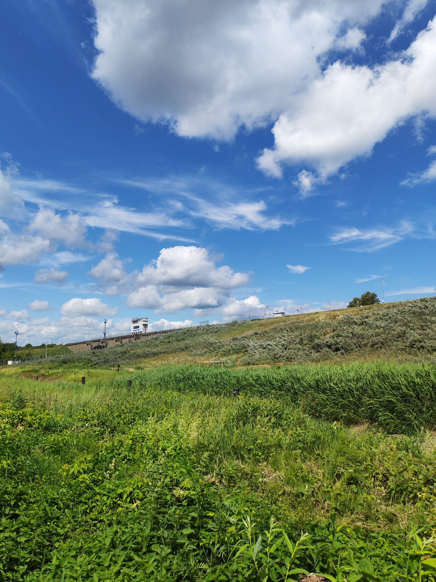 A low-angle, vertical shot captures a vibrant green grassy foreground against a backdrop of a sloping embankment under a bright blue sky dotted with white, fluffy clouds. The embankment is covered in dense, green vegetation, with a row of dark vertical posts visible in the middle ground. At the crest of the embankment, a modern white and blue building with multiple windows stands prominently. Further to the right, a cluster of trees and a lamppost are visible. The scene appears to be an outdoor, natural setting within the city of Chaikovsky, Russia, possibly a park or a natural reserve, characterized by lush greenery and open skies.