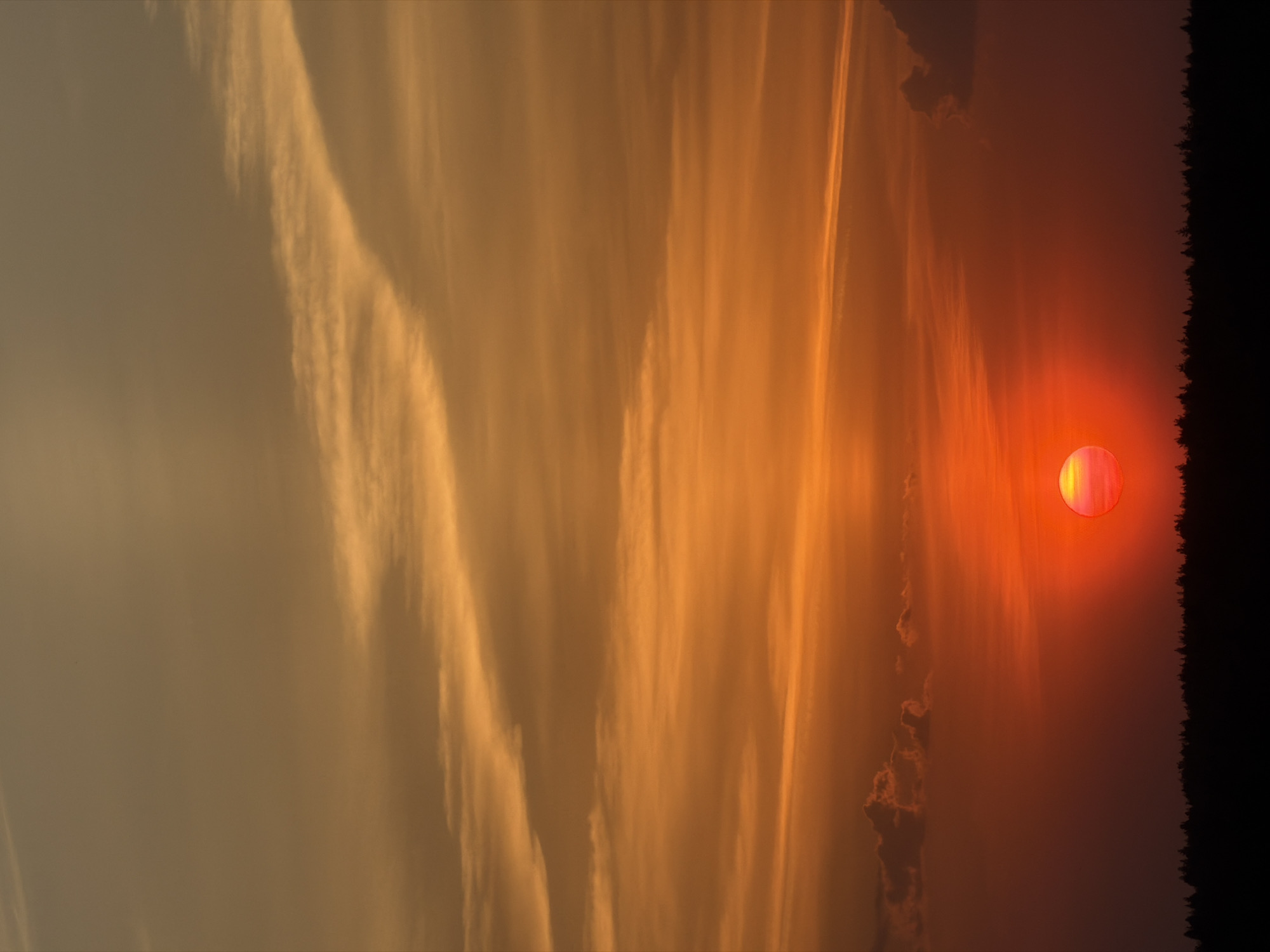 A low-angle photograph depicts a vertical scene dominated by an orange sky during sunset. The sky is filled with layers of thin, elongated clouds that stretch vertically. On the right side of the image, a reddish-orange sun glows against a stark black background, likely trees or distant buildings. The scene gives the impression of a polluted, hazy atmosphere.