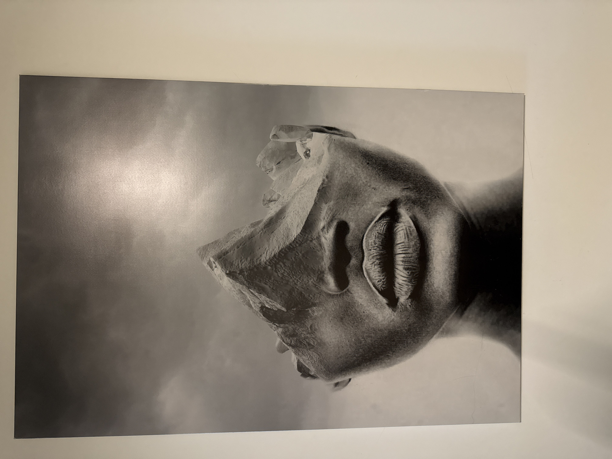 This media file presents a black and white artistic print, likely a photograph, displayed on a light-colored, possibly cream or off-white, wall. The print is oriented vertically on the wall but features its subject rotated 90 degrees counter-clockwise. The central subject is a human head or a detailed sculpture resembling one, depicted in profile, with what appears to be the left side of the face facing upwards.
The head exhibits striking textures; the lips are full and intricately detailed, standing out from the surrounding areas. The nose and chin are identifiable, but much of the forehead and the top of the head are obscured or integrated with a rough, almost crumbling or rock-like material, giving the impression of a mask, erosion, or surreal artistic distortion. The overall image uses a grayscale palette, with strong contrasts and dramatic shadows accentuating the textures and forms.
The background within the print is a soft, atmospheric sky with visible cloud formations, also rendered in black and white. There is no discernible activity or event taking place; the image is a static artistic representation. No specific location cues are visible within the artwork itself, although the context provided places the physical location in Krasnoyarsk, Russia. There is no visible text. The presentation suggests an indoor setting, focusing solely on the artwork against a plain wall.
