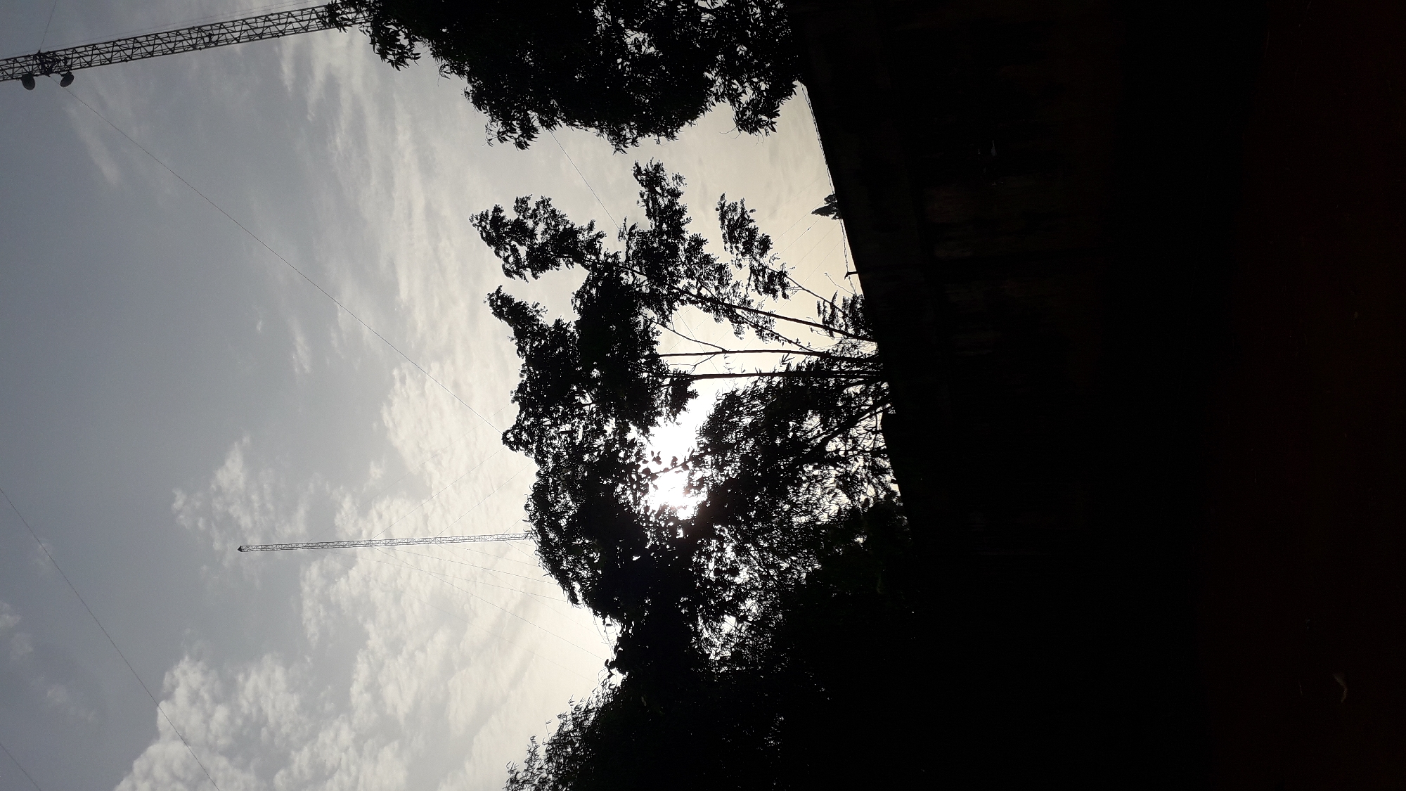 The image, taken in Onitsha, Nigeria, shows a view looking up at the sky, with the silhouettes of trees and a metal tower structure dominating the frame. The sky is partially cloudy, with the sun filtering through the tree branches, creating a bright spot. The trees are densely packed, forming a dark mass against the lighter sky. The metal tower, resembling a transmission or communication tower, is visible in the upper left and further to the left, with wires stretching across the sky. The bottom right area of the frame is almost entirely black, suggesting a dark background or shadow.