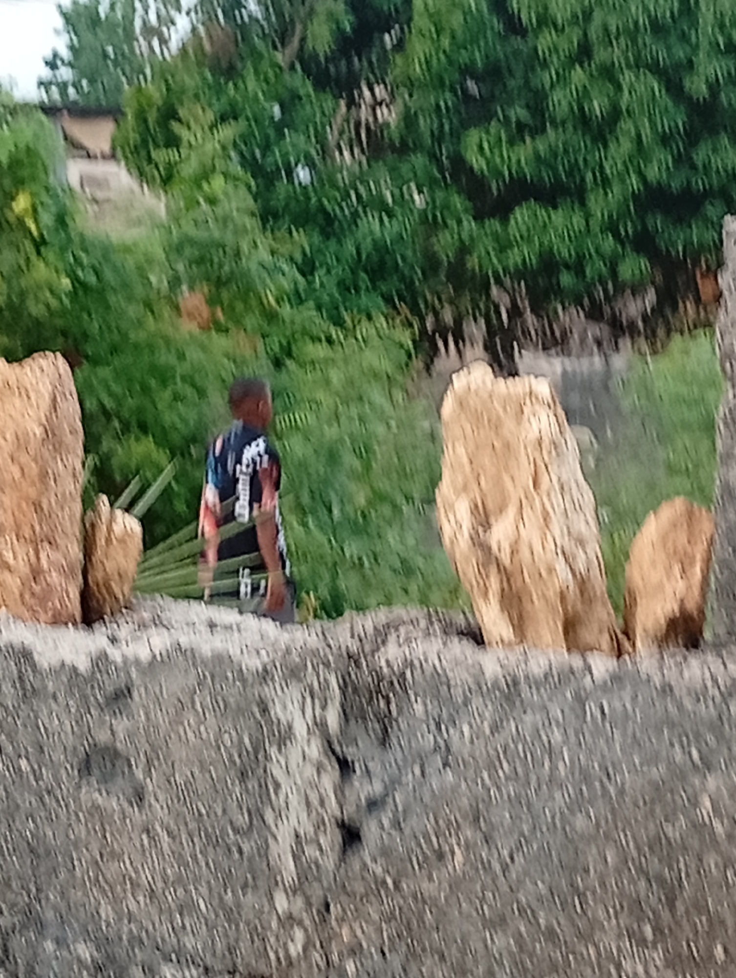 A medium shot depicts a person in a multi-colored shirt standing on a weathered gray structure that appears to be concrete or stone, flanked by large, irregular, brown rock formations. The background features lush green foliage, with glimpses of what may be a building further back. The scene is located in Adankolo, Nigeria.