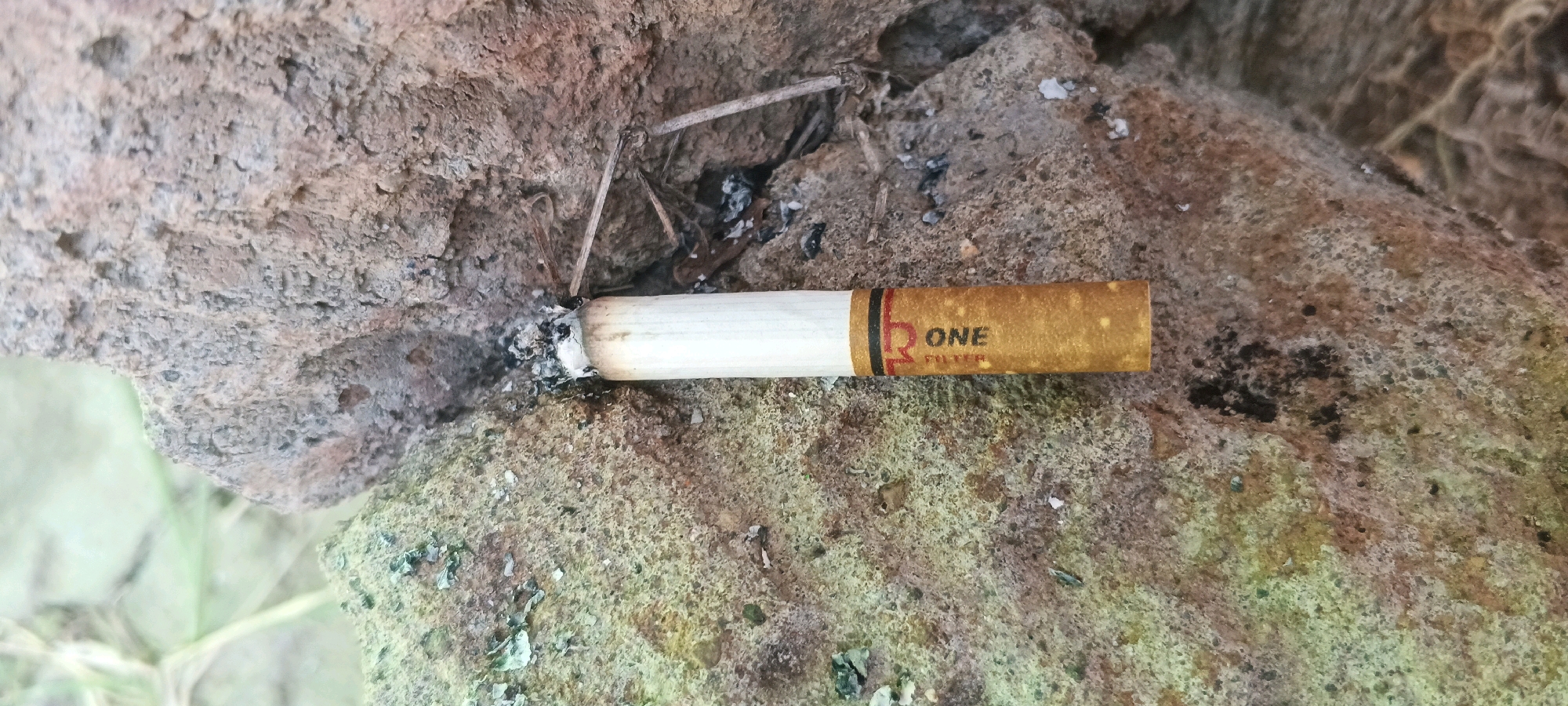 A partially smoked cigarette lies horizontally on a rough, textured surface composed of dirt and possibly concrete. The cigarette has a white filter and a gold-colored band with "ONE FILTER" printed on it. Ash is visible around the end of the cigarette. The background consists of a natural, uneven terrain with some plant debris. The scene appears to be outdoors, possibly in an unkempt area.