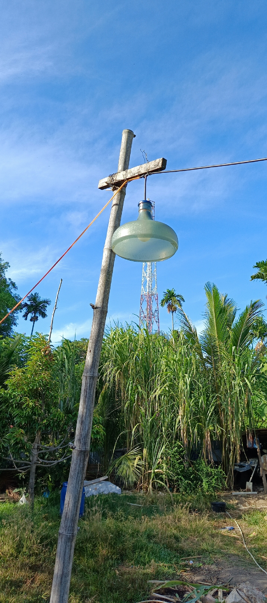 An outdoor scene in a rural area, likely in Pashiebeutong, Indonesia, is captured under a clear blue sky with scattered cirrus clouds. A rustic wooden pole, seemingly made of bamboo, stands vertically, supporting a suspended lamp with a greenish-blue translucent glass shade. The lamp is attached to a wooden crossbeam secured to the pole with wire. An orange cord runs diagonally from the pole, disappearing out of frame.
In the background, lush green vegetation dominates, with tall grass, palm trees, and other tropical foliage creating a dense canopy. Behind the foliage, a red and white lattice tower, possibly a telecommunications mast, is visible. The ground in the foreground is covered with dry grass and some scattered debris. A large blue barrel and a white plastic-wrapped object are partially visible amidst the greenery to the left and center respectively. The overall impression is one of a simple, utilitarian setup in a tropical, undeveloped environment. There are no people or animals visible in the frame.
