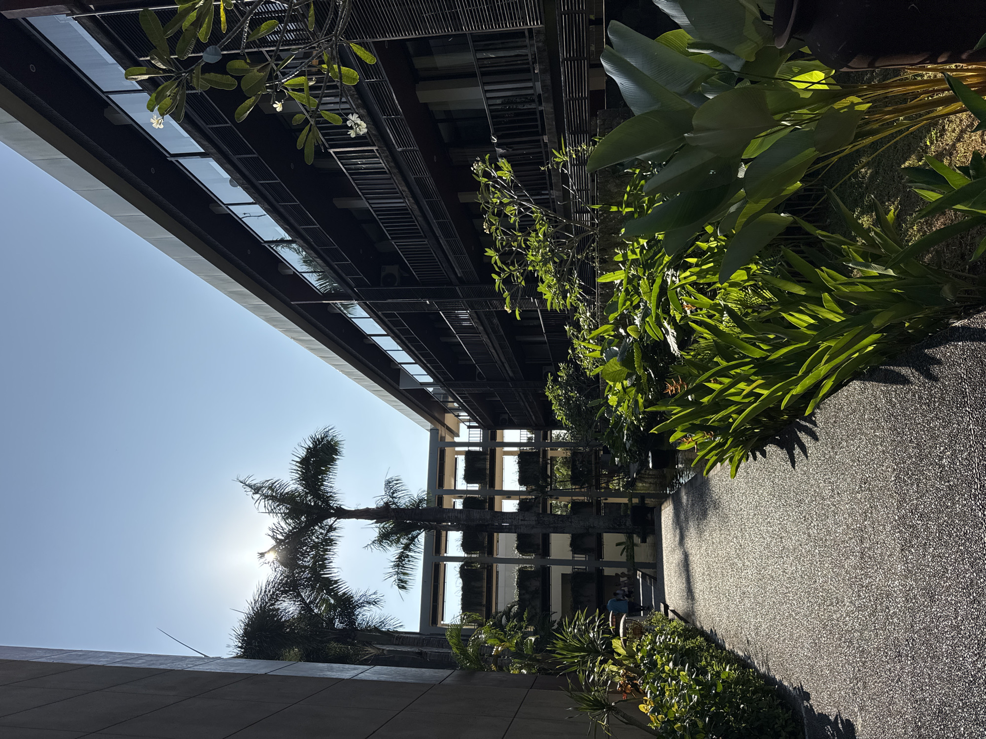 The image shows a view from the ground looking up between two buildings in Kuta Selatan, Indonesia. A palm tree is visible with the sun behind it. Lush greenery flanks a walkway with a rough, speckled surface. The buildings feature a dark exterior with windows and balconies. The sky is clear and blue. The scene appears to be outdoors, possibly in a courtyard or garden area. A person wearing a blue shirt is visible in the far distance.