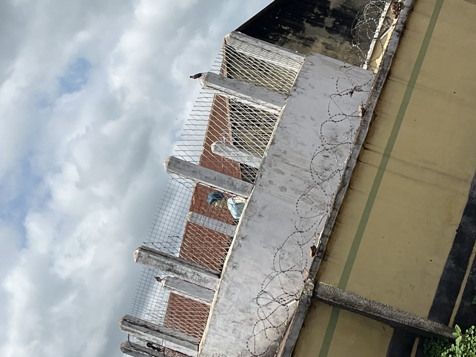 The image presents an upward, tilted view of the upper section of a building in Idah, Nigeria, set against a cloudy daytime sky. The scene is dominated by concrete architectural elements, security features, and a glimpse of a person and birds.
The building features robust, weathered concrete beams or ledges that frame openings, revealing sections of a reddish-brown brick wall behind a metal mesh grid. Another type of wire mesh extends across the upper part of the structure. A prominent feature is the extensive coiling barbed wire (razor wire) installed along a concrete ledge that runs diagonally across the lower right side of the frame, emphasizing security. Adjacent to this, a section of a pale yellow wall with a distinct vertical green stripe is visible. The very top right corner shows a dark, possibly waterproofed, roof area.
A person is partially visible through the metal mesh and behind the concrete structures, wearing a light blue top and possibly a head covering. They appear to be looking out or engaged in an activity within an opening or balcony. Two dark birds, likely pigeons, are perched on different concrete ledges: one at the upper left and another smaller one lower down on the right.
The sky is filled with light grey and white clouds, indicating a cloudy but bright day. The concrete and walls display signs of age, wear, and staining. A small patch of green foliage is visible at the bottom right. There is no visible text in the image. The overall impression is of a functional and secured structure within its Nigerian context.