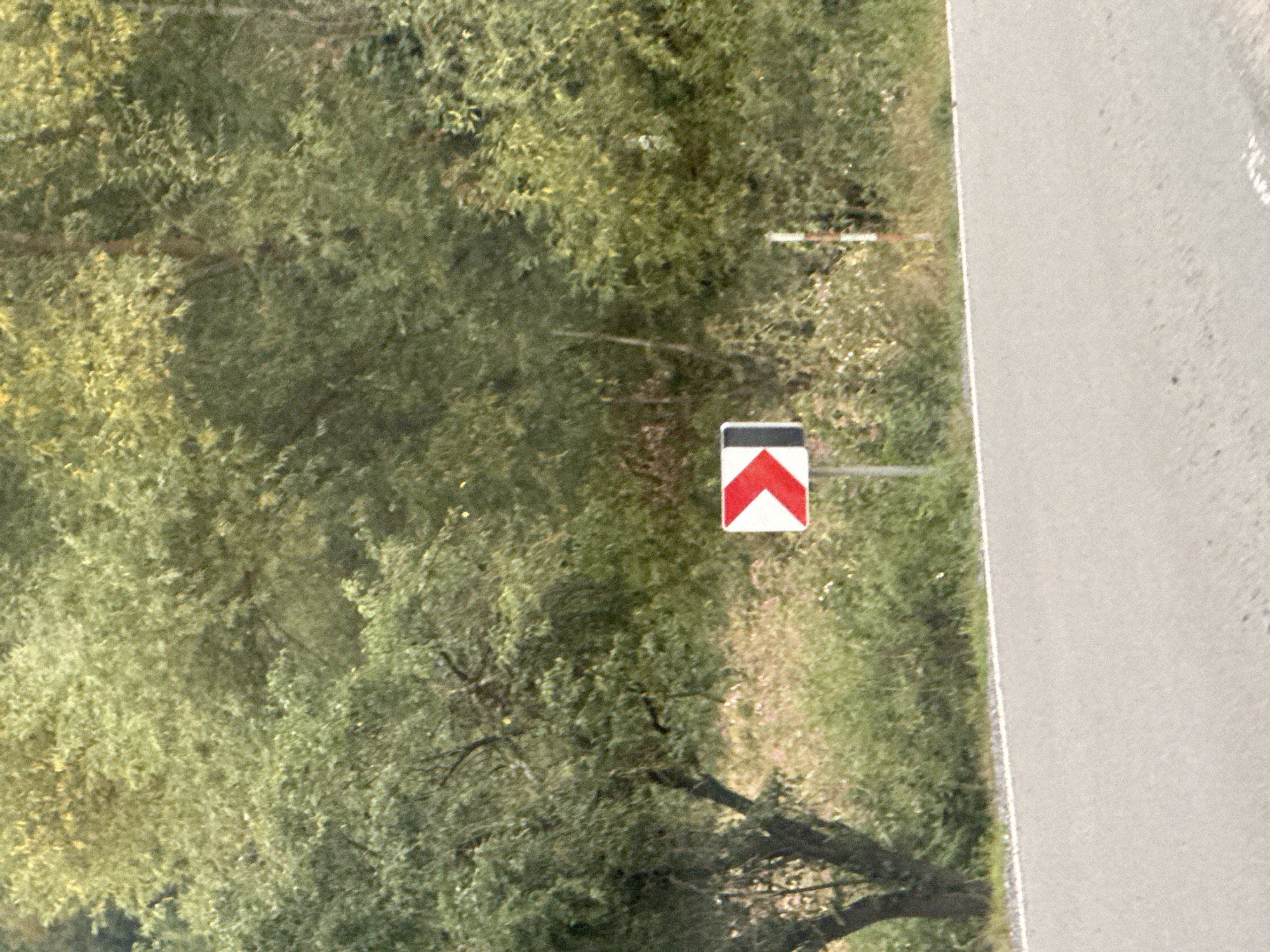 A traffic sign indicating a sharp bend to the right is visible on the side of a paved road. The sign is red and white and triangular in shape with a white arrow pointing to the right. The road is bordered by grass and trees. The scene appears to be in a rural or suburban area.