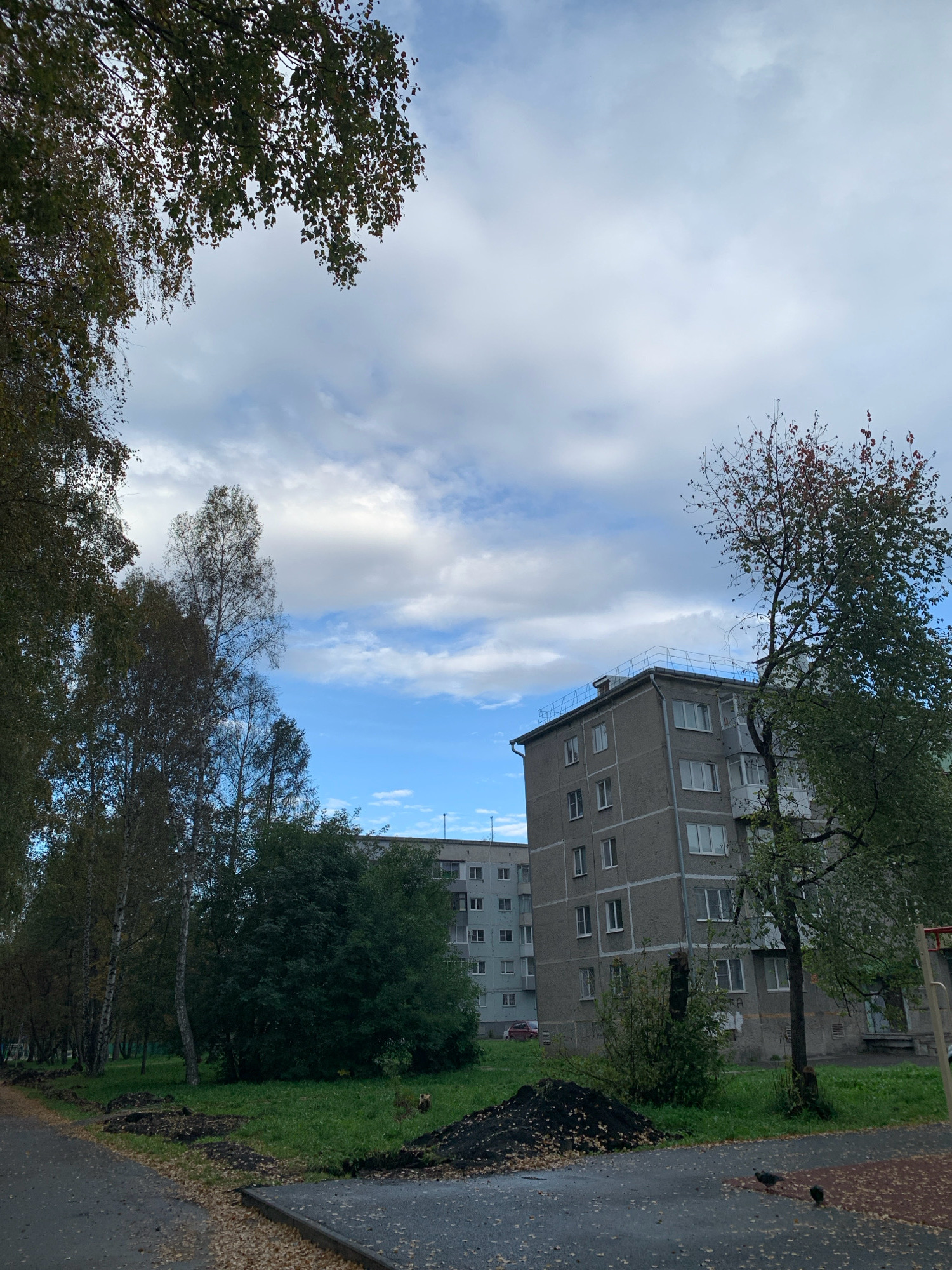 The image depicts a residential area in Prokopyevsk, Russia, under a cloudy sky. In the foreground, a paved pathway, possibly a sidewalk or park trail, is lined with fallen autumn leaves. To the left, tall trees with sparse foliage line the path. Beyond the trees, a multi-story gray apartment building with numerous windows is visible. Further in the background, another similar building stands, and a red car is parked in front of it. The ground is covered in grass and patches of dark soil, suggesting recent landscaping or maintenance work. A lone tree with red leaves stands in the middle ground to the right of the apartment building. The overall scene suggests a typical urban environment in autumn.