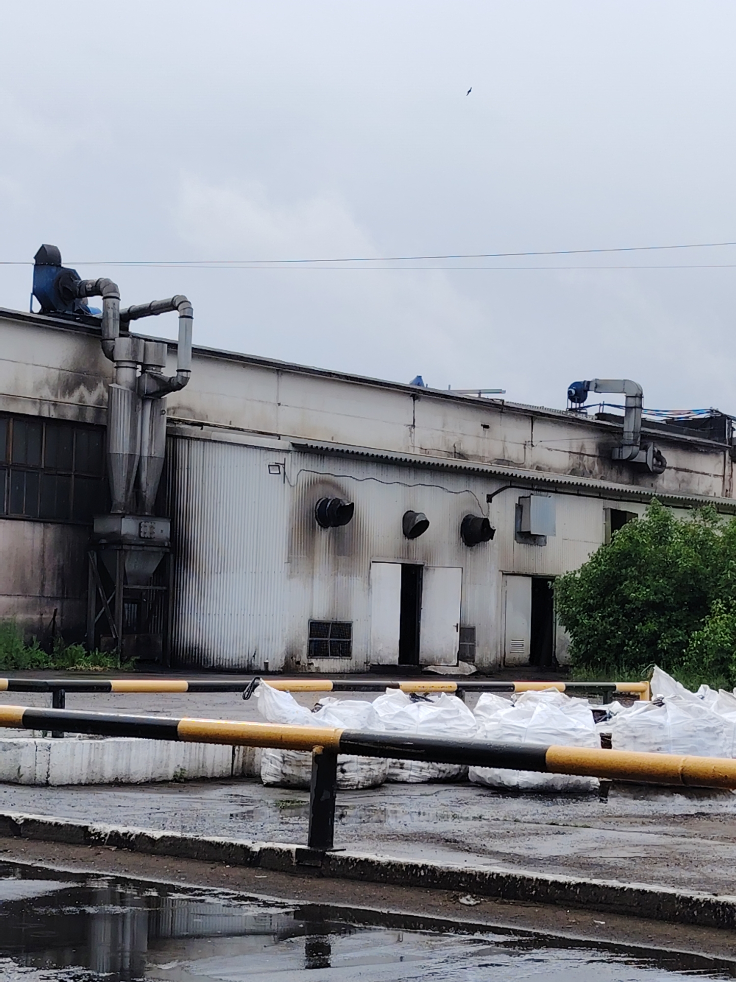The image depicts an industrial area under a grey, overcast sky, likely in Noviy, Russia. A long, single-story industrial building forms the central subject, constructed with weathered white corrugated metal siding. Extensive black soot and charring are visible around several large circular vents and two open doorways on the building's facade, suggesting heavy exhaust or a past fire incident. The roof of the building is adorned with various industrial components, including blue blowers, an intricate network of grey metal pipes, and two prominent cyclone-style dust collectors. Windows with dark frames and multiple small panes are visible on the left side of the building.
The foreground consists of a wet asphalt or concrete ground, slick with recent rain and featuring puddles that reflect the dull sky. A black and yellow painted metal barrier, supported by concrete blocks, stretches across the lower part of the frame. Behind this barrier, numerous large, white, irregularly shaped sacks are stacked, possibly containing industrial materials or waste. Green foliage is visible to the right of the building, partially obscuring its corner. High in the overcast sky, a small dark object, possibly a bird, is seen. No people or specific activities are visible, presenting a somewhat somber and utilitarian industrial landscape. There is no visible text in the image.