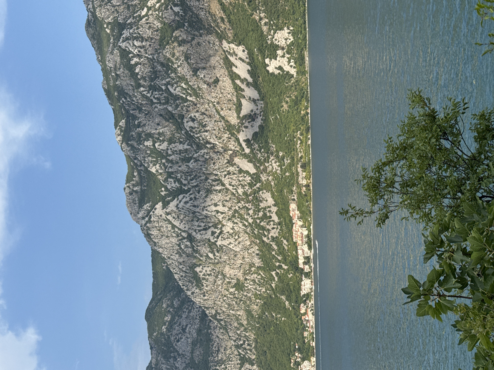 The image depicts a scenic view of the Bay of Kotor in Montenegro, likely from a vantage point above the water. In the foreground, lush green foliage, including what appears to be fig leaves, occupies the lower portion of the frame, partially obscuring the water. The water itself is a deep blue-green, with gentle ripples suggesting calm conditions.
Across the bay, a town is nestled against the base of imposing, rugged mountains. The town features a collection of buildings with light-colored facades and red-tiled roofs, clustered together along the shoreline. A narrow white wake trails behind a small white boat on the water, indicating movement.
The dominant feature of the background is the massive, rocky mountain range. These mountains are characterized by their steep slopes, with patches of green vegetation clinging to the rocky terrain. The sunlight highlights the texture and contours of the mountains, creating shadows that emphasize their dramatic scale. The sky above is a clear, bright blue with a few wispy white clouds.
Based on the landscape and town architecture, this scene is consistent with a view of the bay near the settlement of Štrp, Montenegro, a village located on the northern shore of the Bay of Kotor.