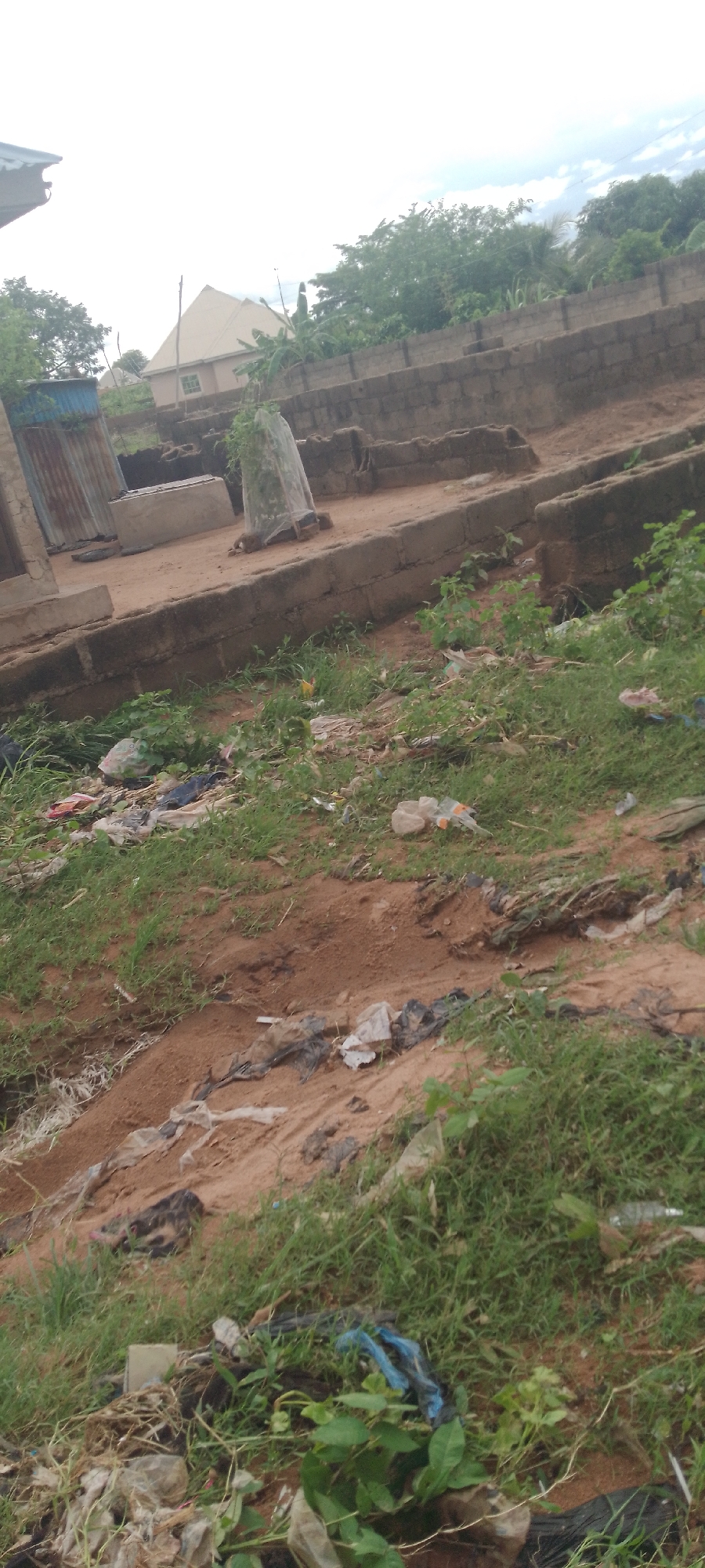 The image depicts an outdoor scene with a focus on a littered, overgrown area. In the foreground, a patch of green grass is interspersed with numerous pieces of discarded plastic and other debris, including plastic bags and bottles. A sandy, uneven ground with some darker patches is visible, also containing scattered litter.
In the mid-ground, there are raised concrete structures, possibly part of a foundation or low walls, running horizontally across the scene. A cylindrical object, covered in clear plastic sheeting, stands upright on one of these structures. Adjacent to this, there is a rectangular concrete structure. Further back, a weathered corrugated metal structure with a blue accent is visible on the left. Beyond this, a light-colored house with a peaked roof and a window is situated.
The background features a stone wall constructed from concrete blocks, with lush green trees and vegetation growing behind and over it, suggesting a somewhat natural or undeveloped environment. The sky above is overcast with some visible clouds. The overall impression is one of an unkempt outdoor space, likely in a residential or semi-developed area. The presence of trash and overgrown vegetation suggests a lack of regular maintenance. The provided location is the city of Jalingo, Nigeria.