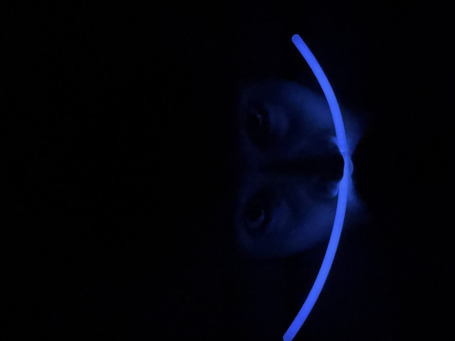 A person's face is illuminated by a blue glow stick, bisecting the image. The face is positioned at an angle, the nose centered in the glow. The background is entirely black, contrasting starkly with the blue light. The eyes are visible, though only faintly, adding an element of eeriness to the scene. The bottom half of the face appears as a reflection, subtly distorting the image.