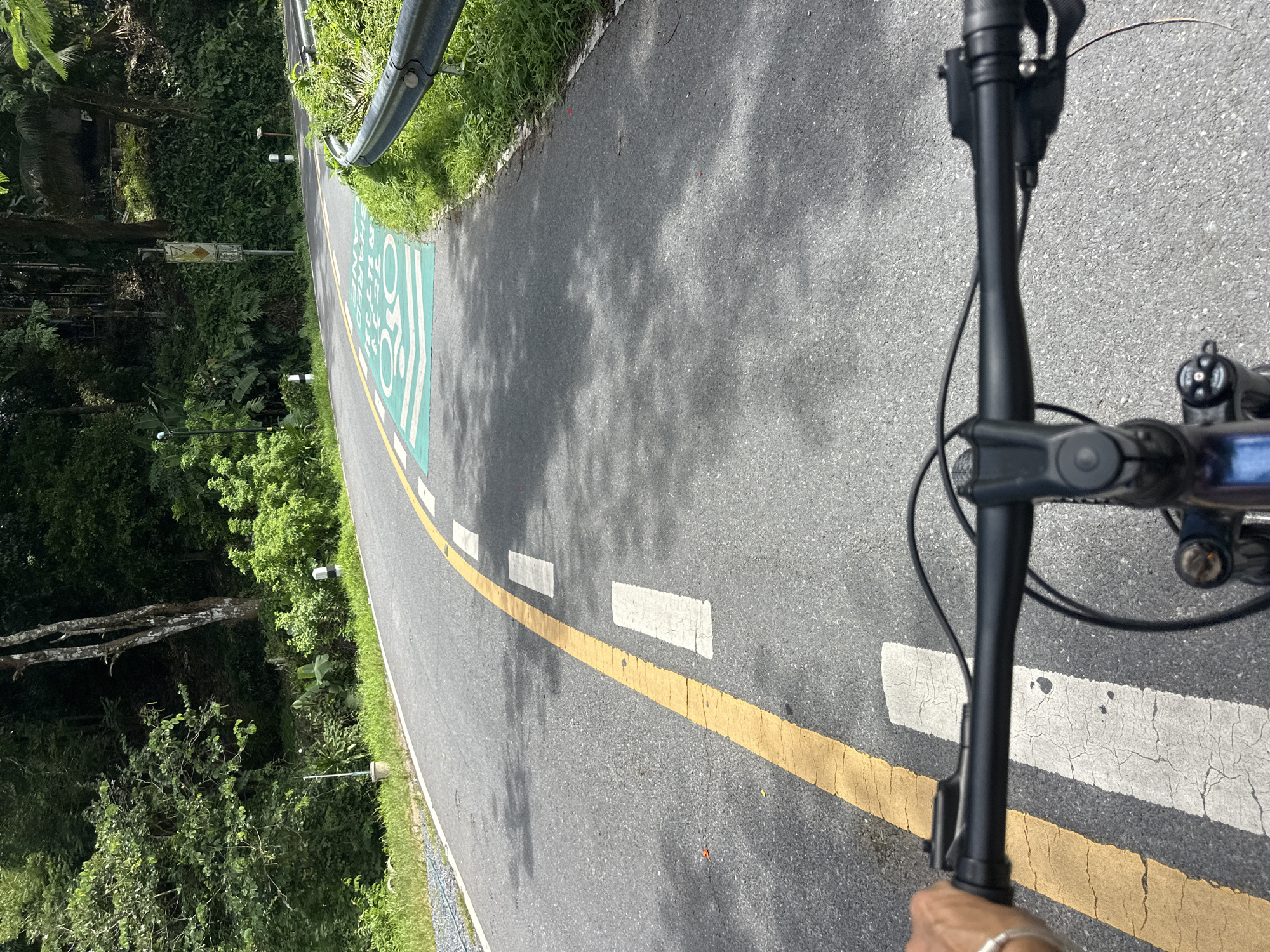 This is a first-person perspective image of someone cycling on a paved road in Kathu, Thailand. The road has a yellow line marking the lane and white dashed lines separating lanes. To the right of the road, there is a green painted bike lane with white markings of bicycles. The road is bordered by lush green vegetation and trees, indicating a tropical environment. A metal guardrail is visible on the right side of the road. The handlebars and part of the bicycle's frame are in the foreground, and a hand with a bracelet is visible on the left handlebar. The sky is not visible in the frame, but sunlight is casting shadows on the road.