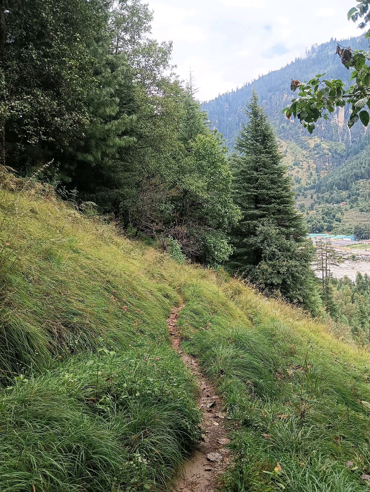 A dirt path winds through tall green grass on a steep hillside. The path appears well-worn, suggesting frequent use. Lush green trees, including tall coniferous varieties, cover the upper portion of the hillside and the background. The distant background reveals a valley with a river, buildings, and more forested hills, characteristic of the mountainous region surrounding Vashisht, India. The sky is overcast with patches of light clouds. The scene depicts a natural, outdoor environment with a clear human-made trail.