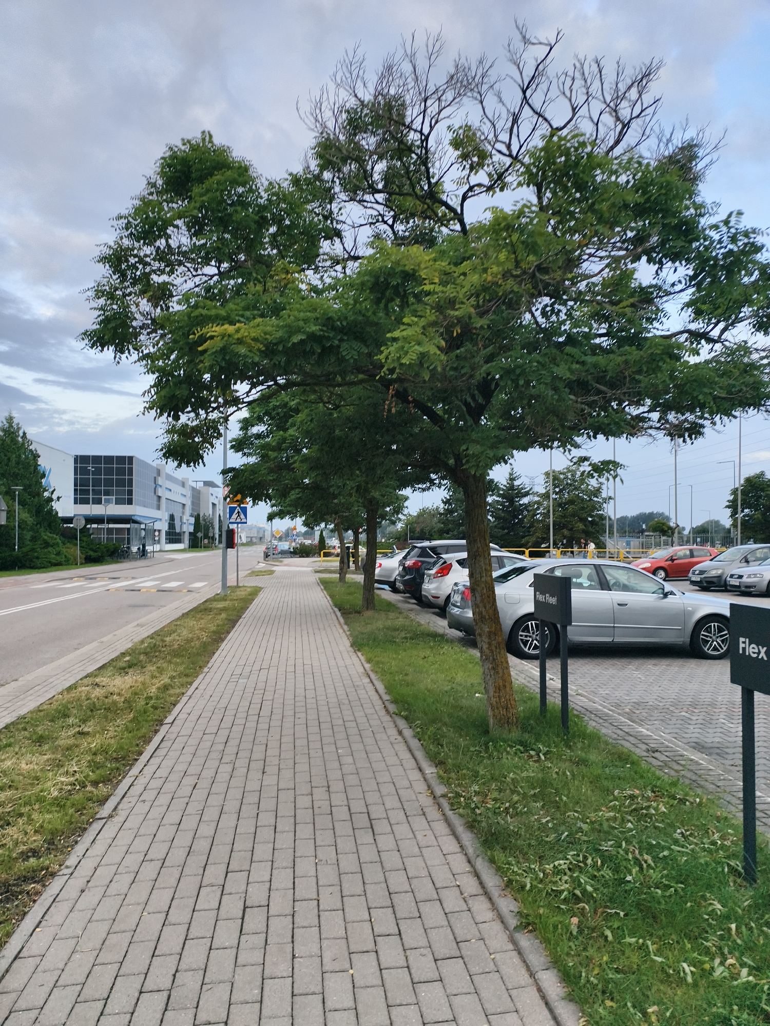 This is a full-frame, eye-level, outdoor, vertical shot of a sidewalk next to a parking lot and a road. The sidewalk is made of gray pavers and is bordered by grass. On the right side of the sidewalk is a parking lot with several cars. The cars are silver, gray, and red. There are also two black signs with "Flex Fleet" written on them. On the left side of the sidewalk is a road, and across the road is a modern building with a glass facade. There are trees along the sidewalk and in front of the building. The sky is cloudy.
The scene is likely located in Tczew, Poland, near the Volvo Trucks factory. The modern building and the parking lot arrangement are consistent with an industrial or corporate setting. The presence of the "Flex Fleet" signs suggests a fleet management or rental service is operating in this area.