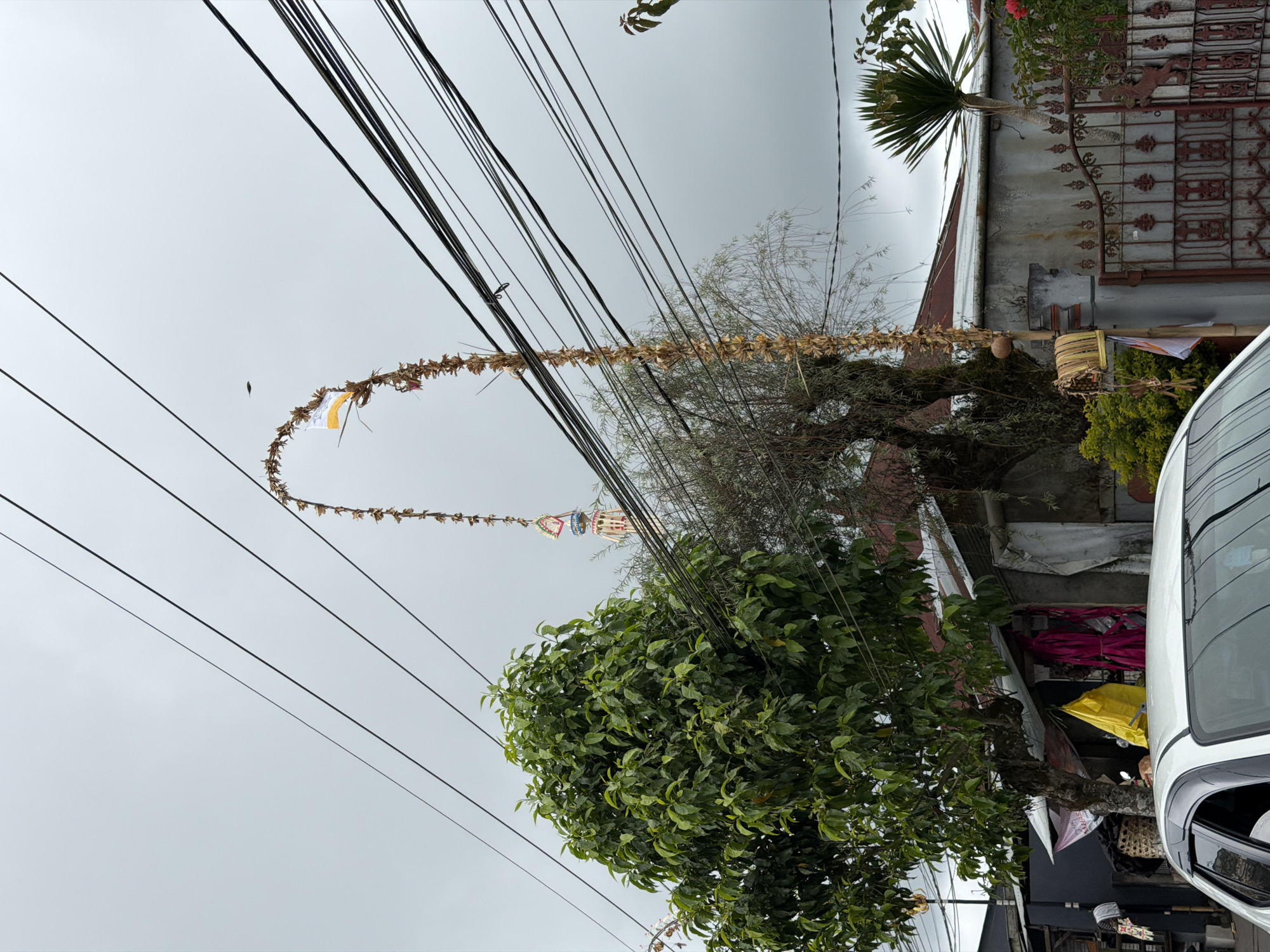 In Kintamani, Indonesia, a large, arching ceremonial decoration made of dried leaves and possibly bamboo is suspended over a street, held aloft by wires and possibly poles. At the apex of the arch, a small yellow and white flag is visible. The decoration extends down both sides, with one side appearing to be a tall, thin stalk adorned with dried plant material. Below the arch, a lush green tree stands to the left, its branches full of leaves. To the right of the tree, a building with a red-tiled roof is partially visible, along with a concrete wall and a decorative wrought-iron gate. Several power lines crisscross the sky. In the foreground, the roof and hood of a white car are visible, indicating the presence of vehicles on the street. The sky is overcast, suggesting cloudy weather.