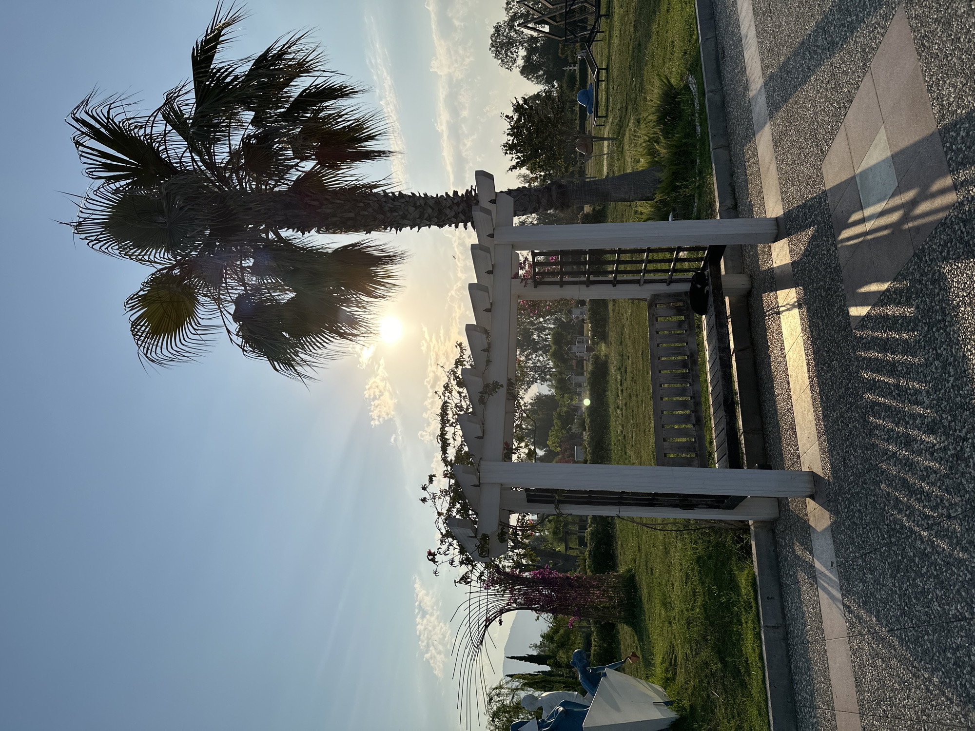 A daytime shot captures a park-like setting in Fethiye, Turkey, bathed in the warm glow of the late afternoon sun. The sky is a clear blue, dotted with a few wispy clouds. Dominating the right side of the frame is a tall palm tree, its fronds silhouetted against the sky. In the foreground, a white wooden pergola with a vine-covered roof provides shade over a wooden bench. The ground is paved with small, gray stones, with a pathway of larger rectangular stones running through it, casting long, striped shadows from the pergola. Beyond the pergola, a well-maintained grassy area is visible, featuring various art installations, including abstract sculptures and what appears to be a decorative structure made of metal rods adorned with pink flowers. A small black cat is resting on the wooden bench under the pergola. In the background, more trees and distant hills are visible, suggesting a suburban or slightly rural edge to the city.