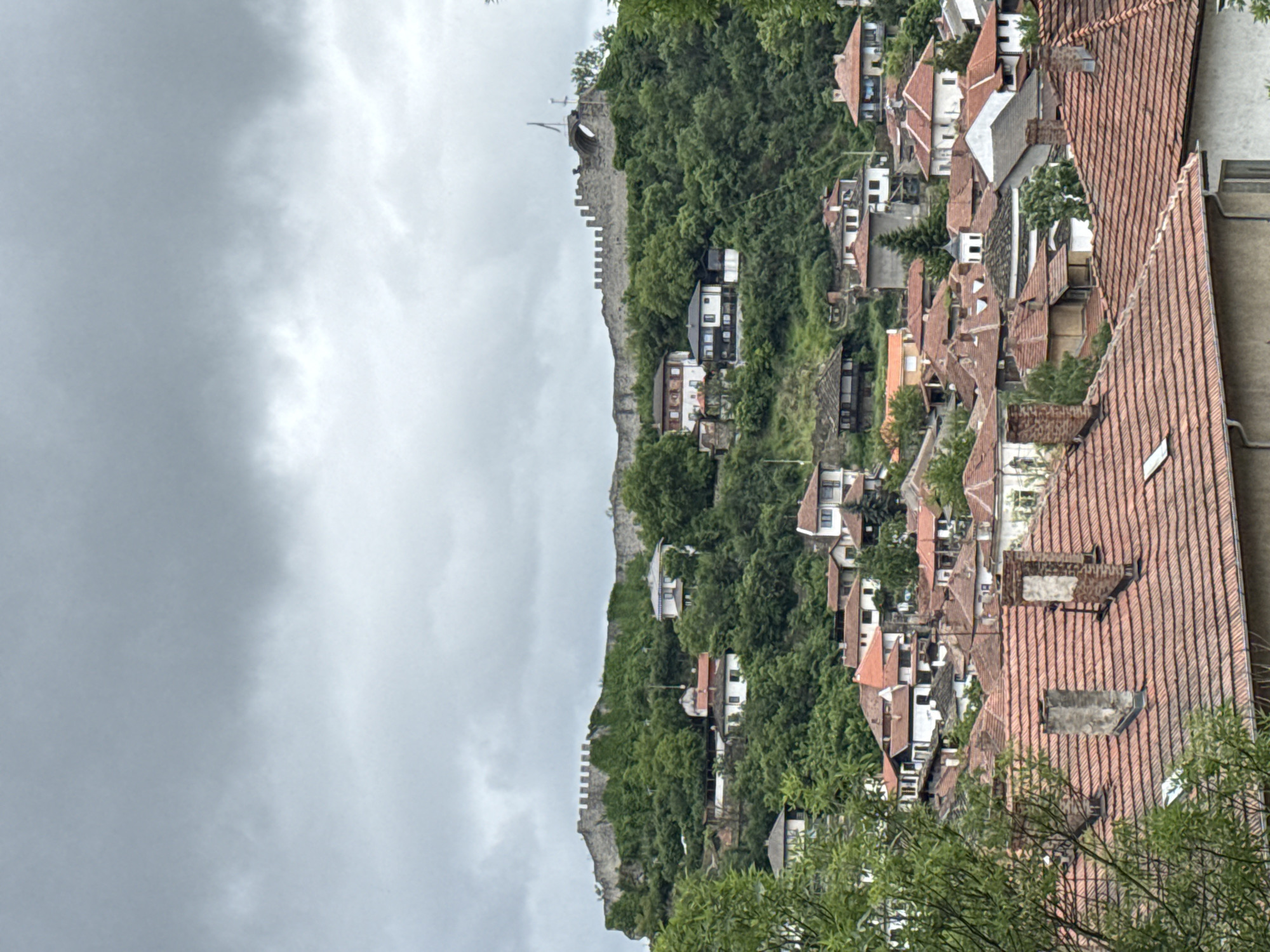 The image captures a landscape featuring a mix of natural and urban elements, likely in the city of Lovech, Bulgaria. In the foreground, a dense cluster of buildings with distinctive red-tiled roofs dominates the view. The architectural style suggests a residential area. These buildings are intermingled with greenery, possibly gardens or trees, adding a touch of nature to the urban environment. A notable feature is the presence of an ancient stone wall or fortress in the background. It is partially concealed by lush vegetation. A cloudy sky casts a soft, diffused light over the scene.