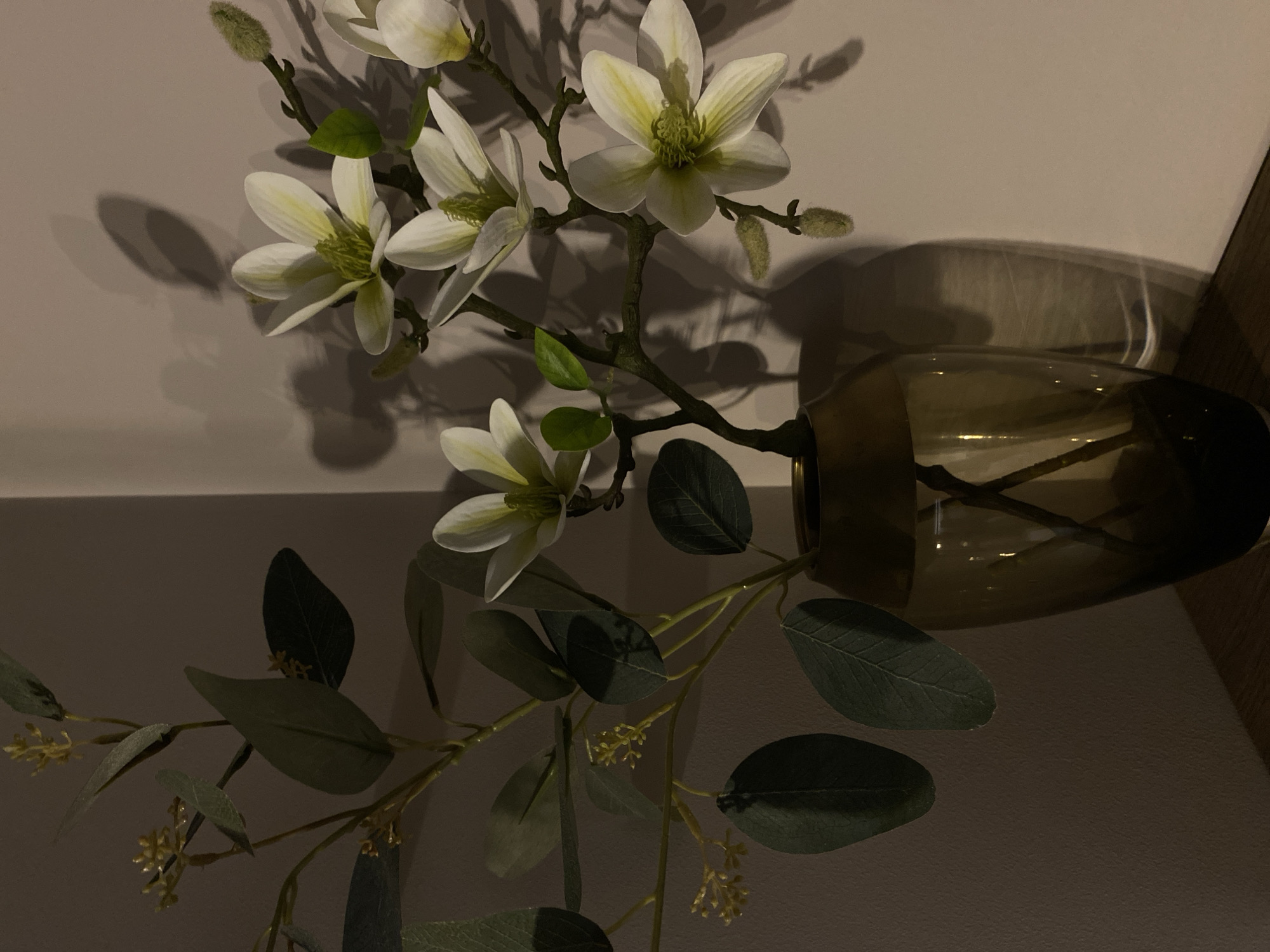 A close-up, low-angle shot captures a still life arrangement in Votkinsk, Russia. The primary subjects are artificial white magnolia flowers and green eucalyptus branches placed in a dark amber glass vase. The vase is positioned on a wooden surface, likely a table or shelf, against a textured, light-colored wall. The lighting creates dramatic shadows on the wall, highlighting the delicate petals and glossy leaves of the arrangement. The scene is static and appears to be indoors.